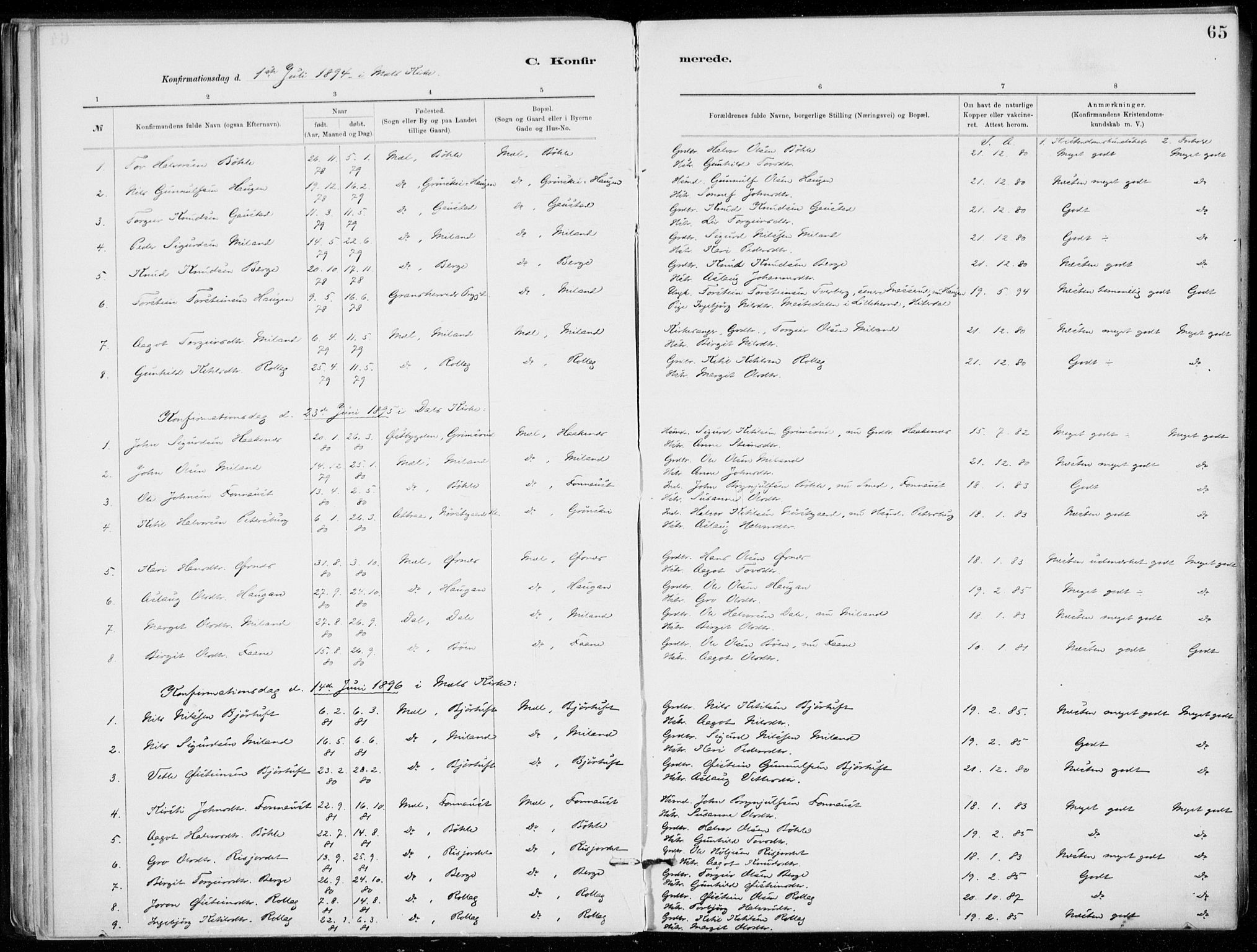 Tinn kirkebøker, AV/SAKO-A-308/F/Fb/L0002: Parish register (official) no. II 2, 1878-1917, p. 65