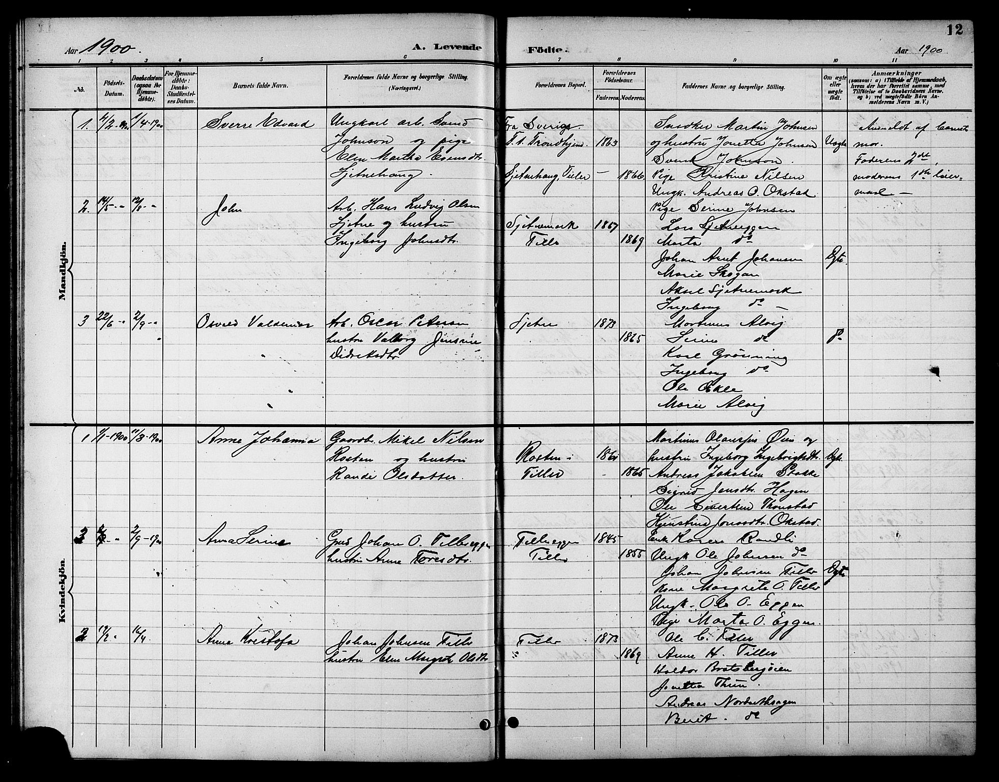 Ministerialprotokoller, klokkerbøker og fødselsregistre - Sør-Trøndelag, SAT/A-1456/621/L0460: Parish register (copy) no. 621C03, 1896-1914, p. 12