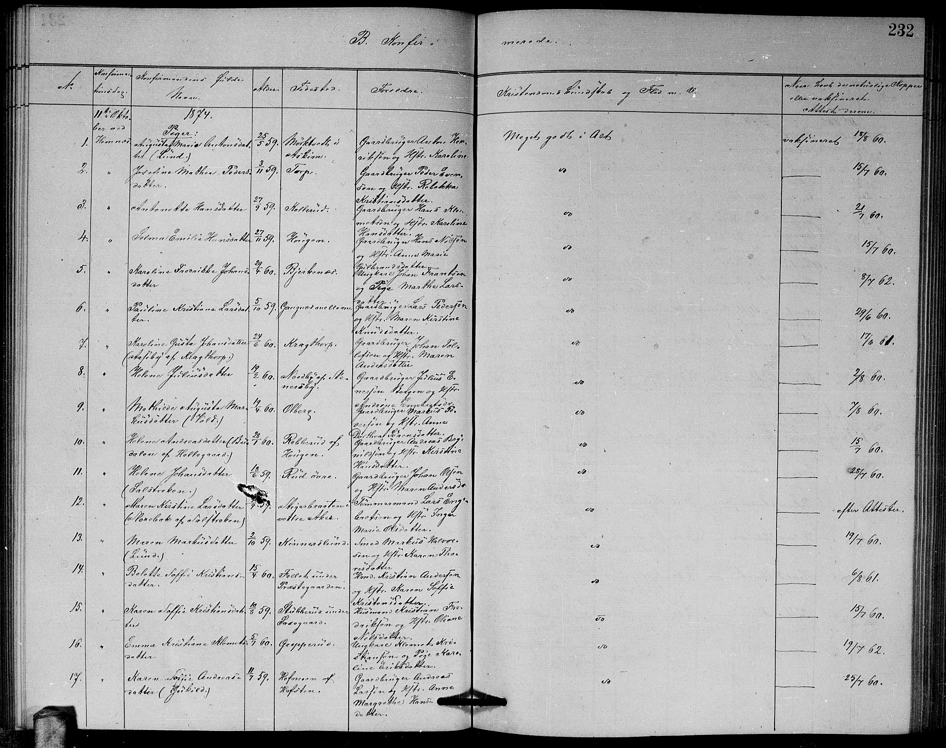 Høland prestekontor Kirkebøker, AV/SAO-A-10346a/G/Ga/L0006: Parish register (copy) no. I 6, 1869-1879, p. 232