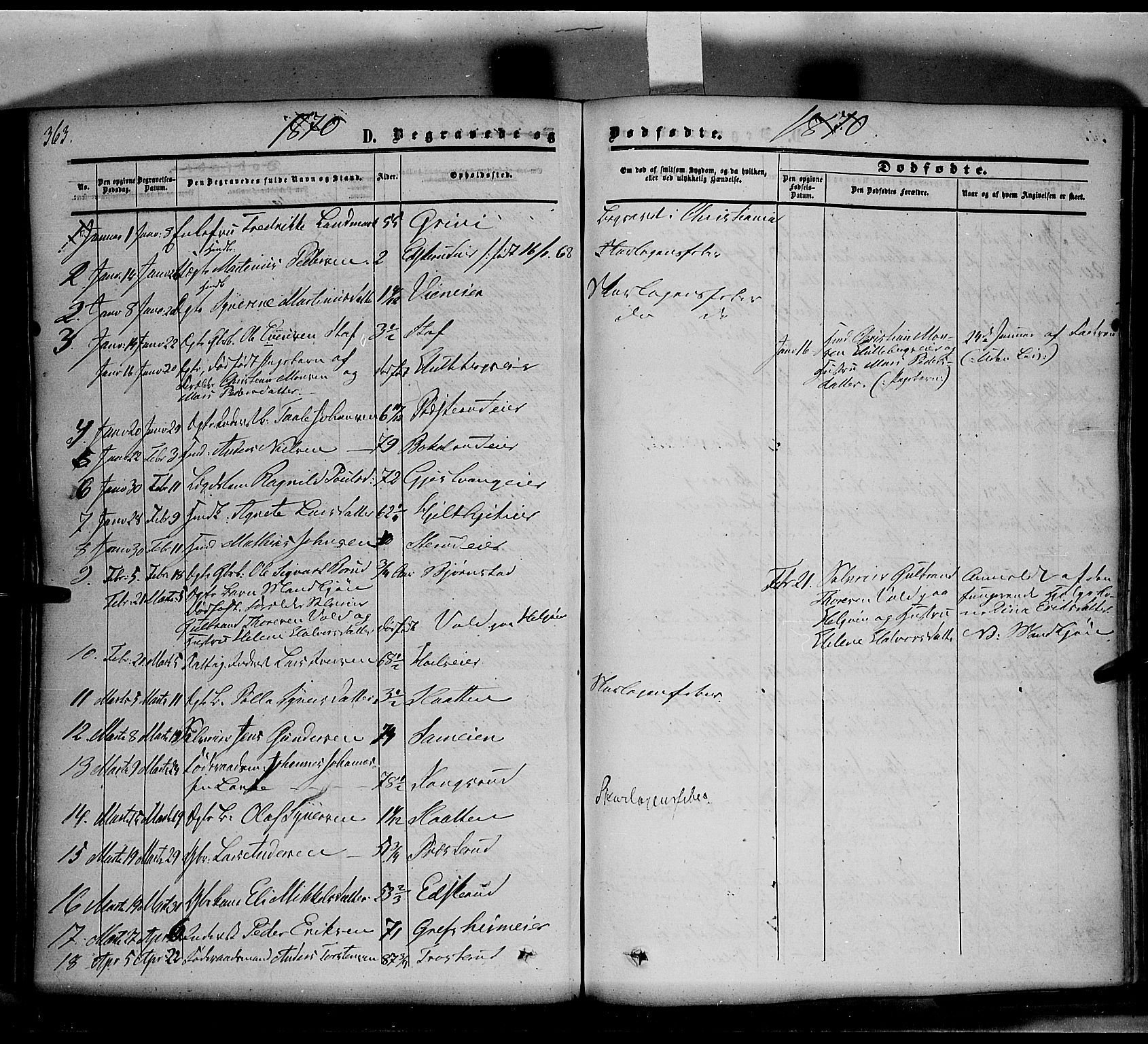 Nes prestekontor, Hedmark, SAH/PREST-020/K/Ka/L0004: Parish register (official) no. 4, 1852-1886, p. 363