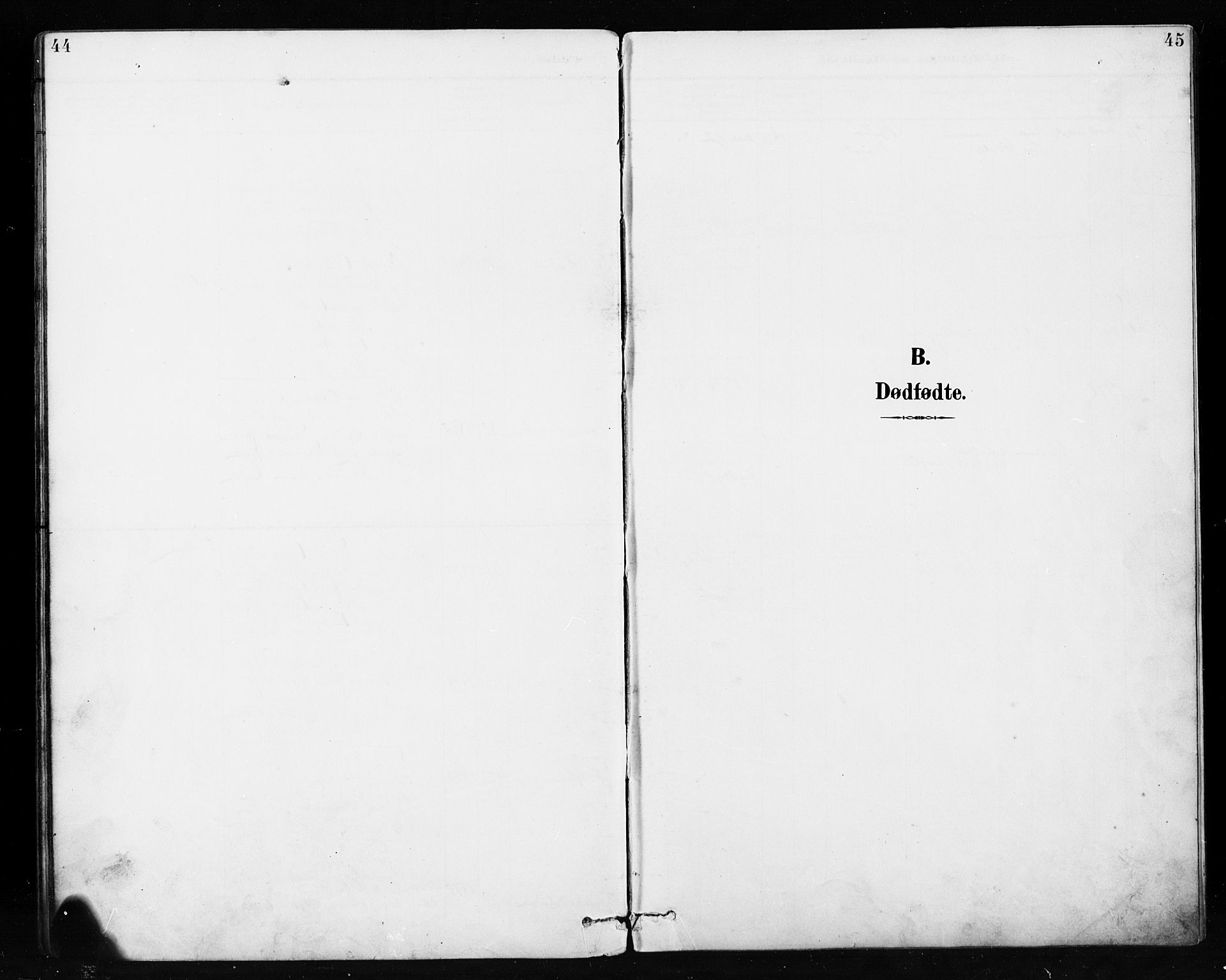Etnedal prestekontor, SAH/PREST-130/H/Ha/Hab/Habb/L0001: Parish register (copy) no. II 1, 1894-1911, p. 44-45