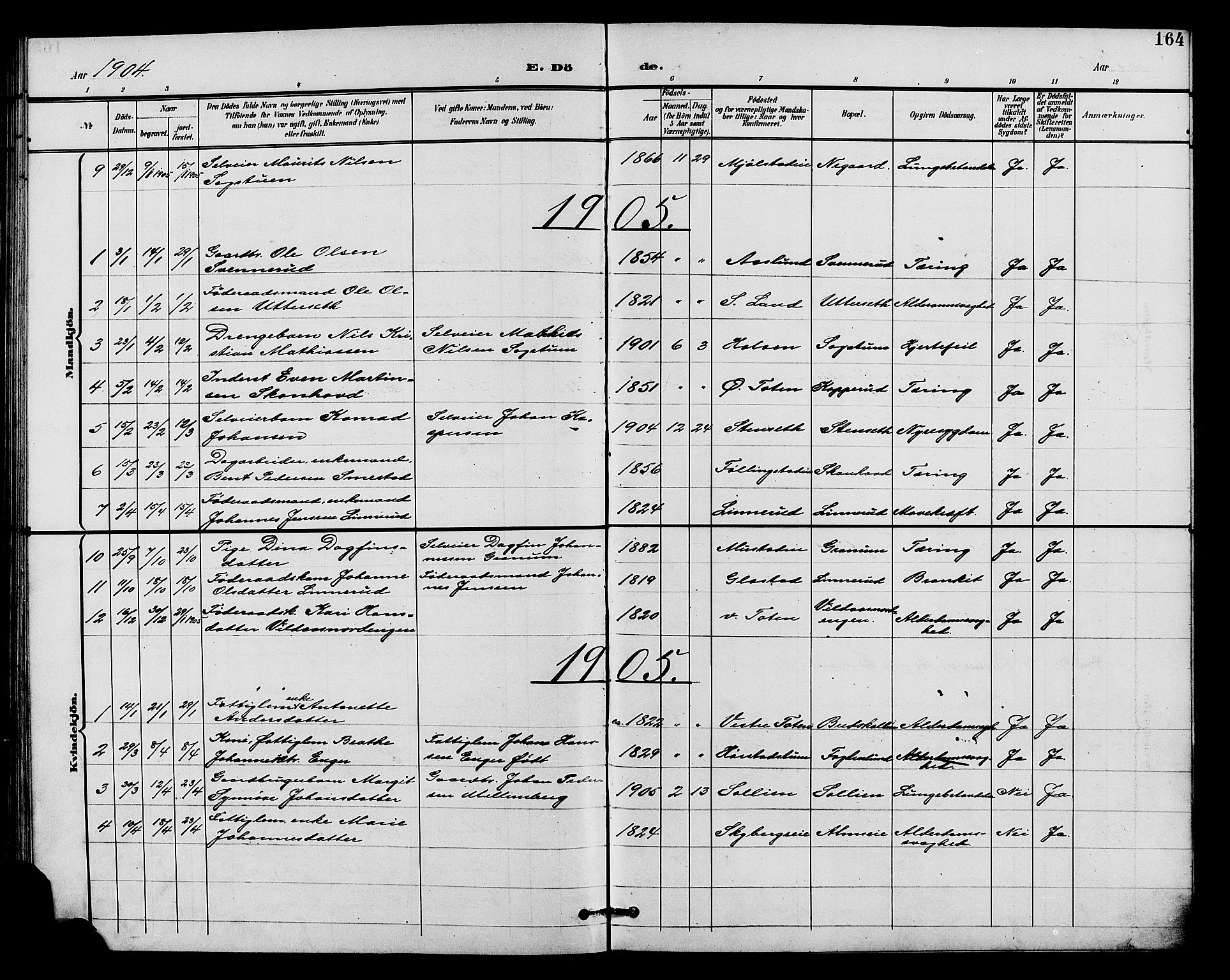 Vardal prestekontor, AV/SAH-PREST-100/H/Ha/Hab/L0011: Parish register (copy) no. 11, 1899-1913, p. 164
