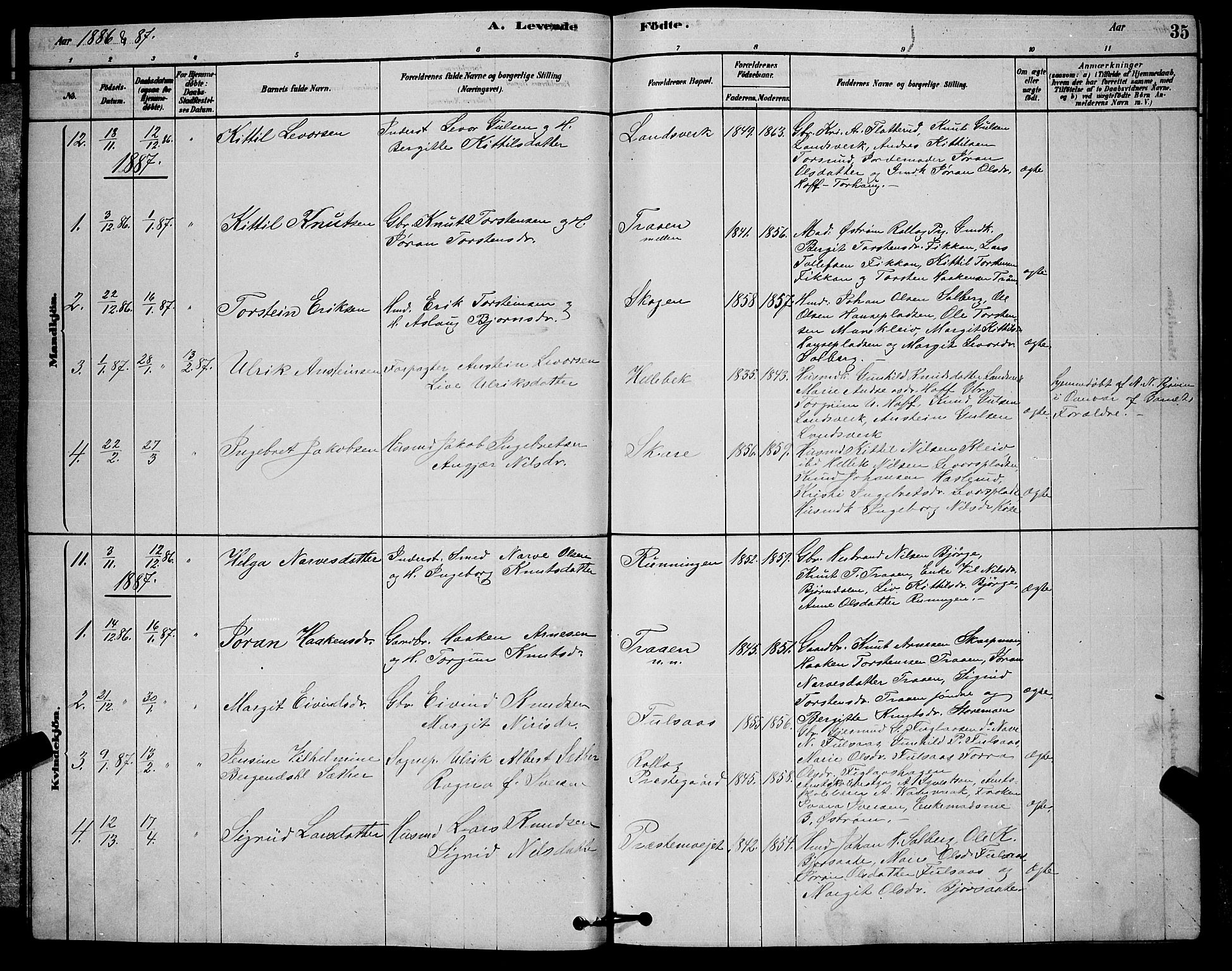 Rollag kirkebøker, AV/SAKO-A-240/G/Ga/L0004: Parish register (copy) no. I 4, 1878-1903, p. 35