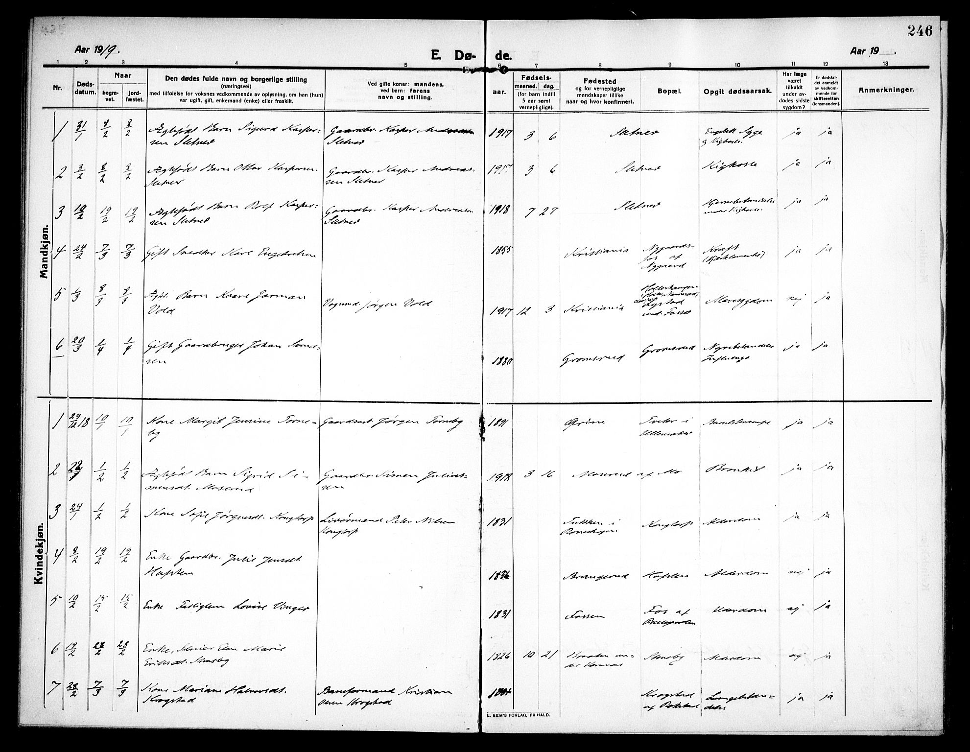 Høland prestekontor Kirkebøker, SAO/A-10346a/F/Fa/L0016: Parish register (official) no. I 16, 1912-1921, p. 246