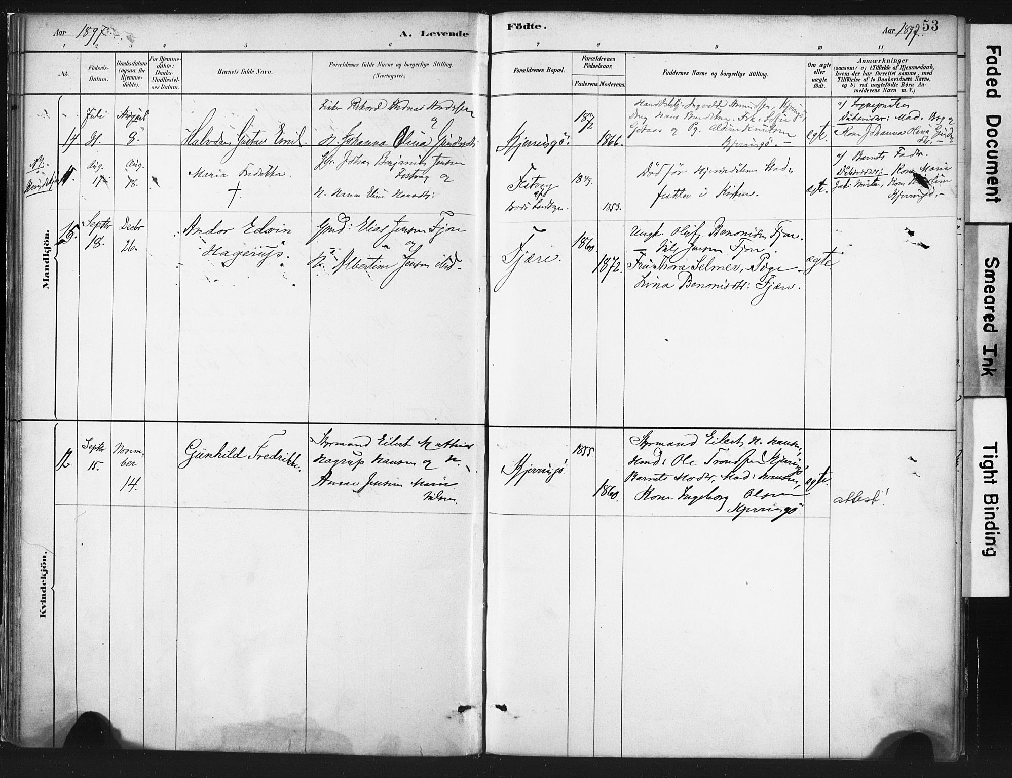 Ministerialprotokoller, klokkerbøker og fødselsregistre - Nordland, AV/SAT-A-1459/803/L0071: Parish register (official) no. 803A01, 1881-1897, p. 53