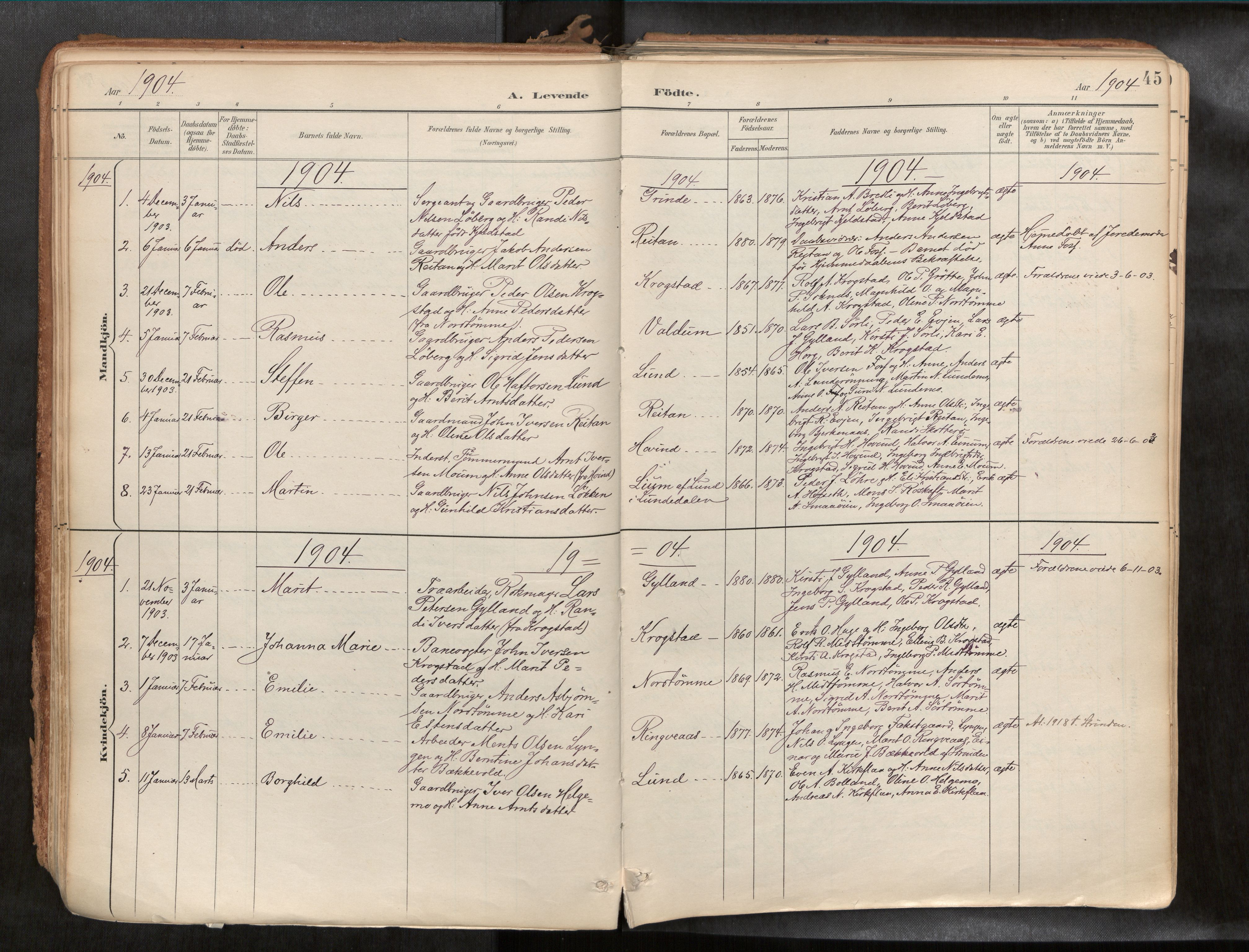 Ministerialprotokoller, klokkerbøker og fødselsregistre - Sør-Trøndelag, SAT/A-1456/692/L1105b: Parish register (official) no. 692A06, 1891-1934, p. 45