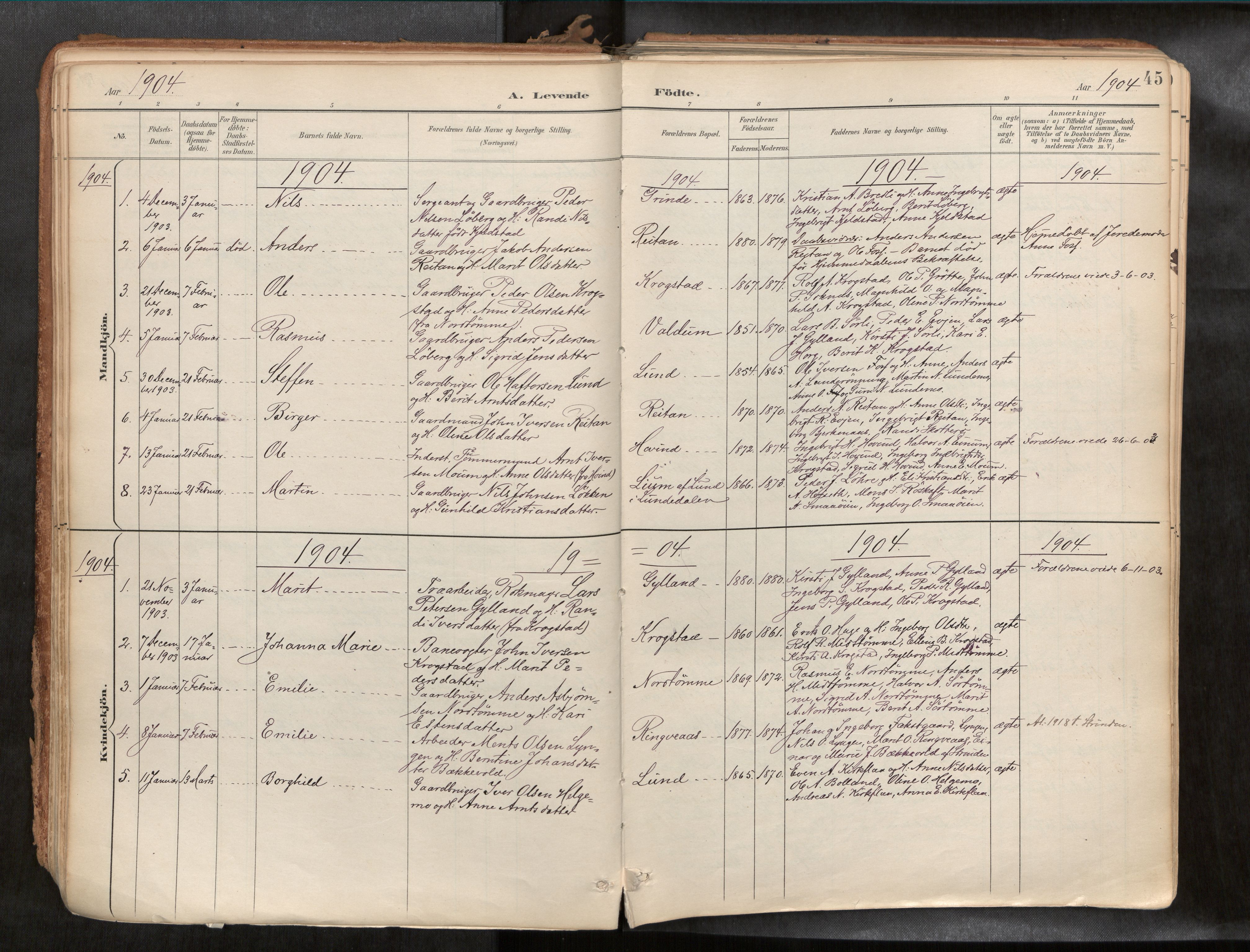 Ministerialprotokoller, klokkerbøker og fødselsregistre - Sør-Trøndelag, AV/SAT-A-1456/692/L1105b: Parish register (official) no. 692A06, 1891-1934, p. 45