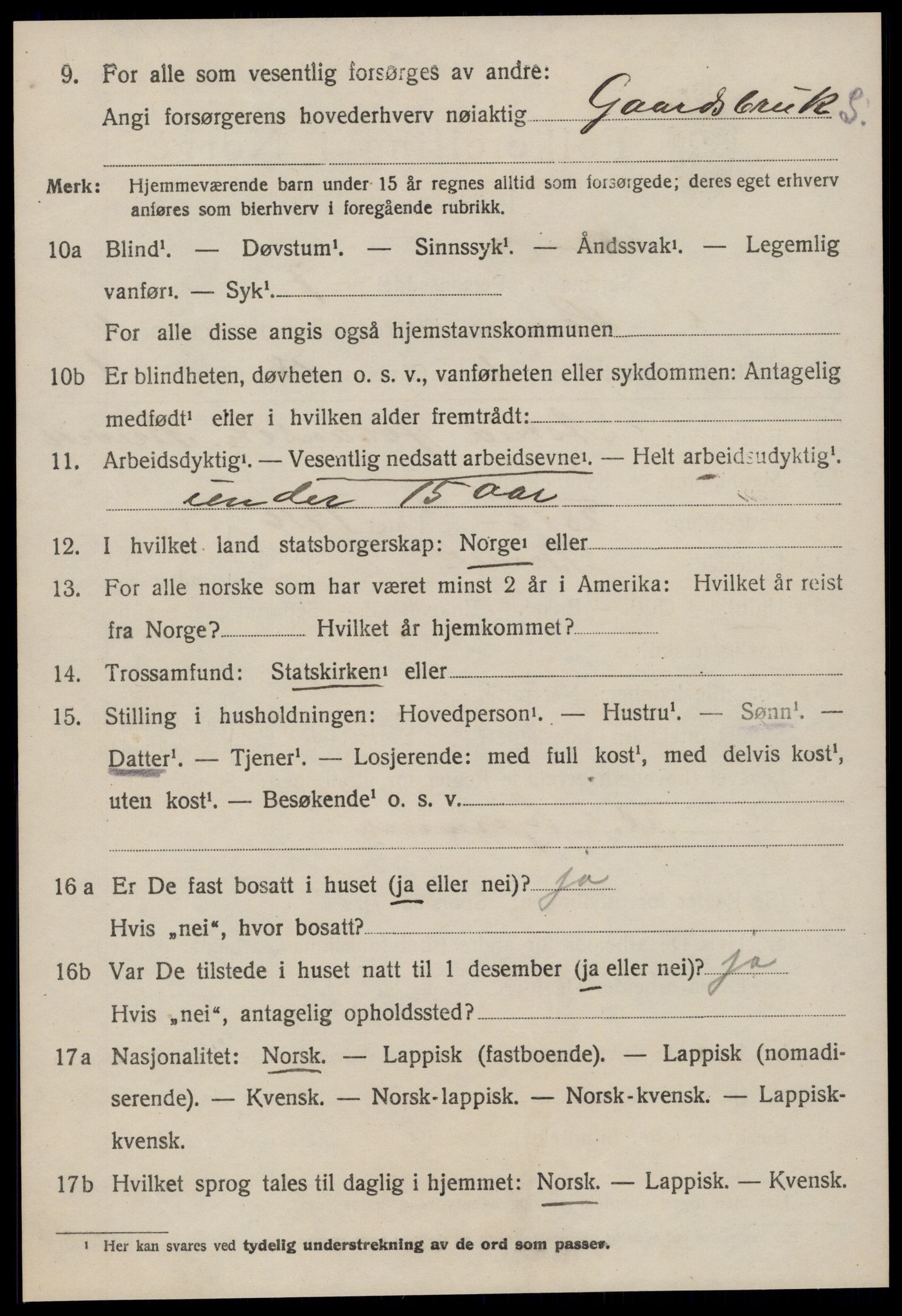 SAT, 1920 census for Hemne, 1920, p. 1249