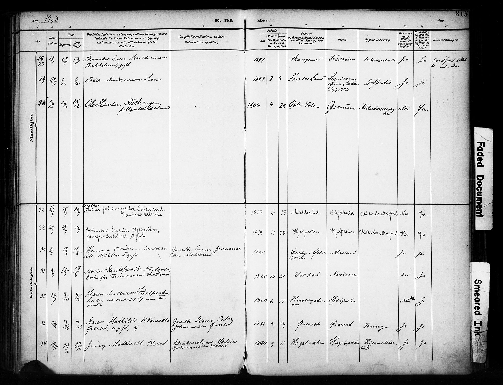 Vestre Toten prestekontor, AV/SAH-PREST-108/H/Ha/Haa/L0011: Parish register (official) no. 11, 1895-1906, p. 315