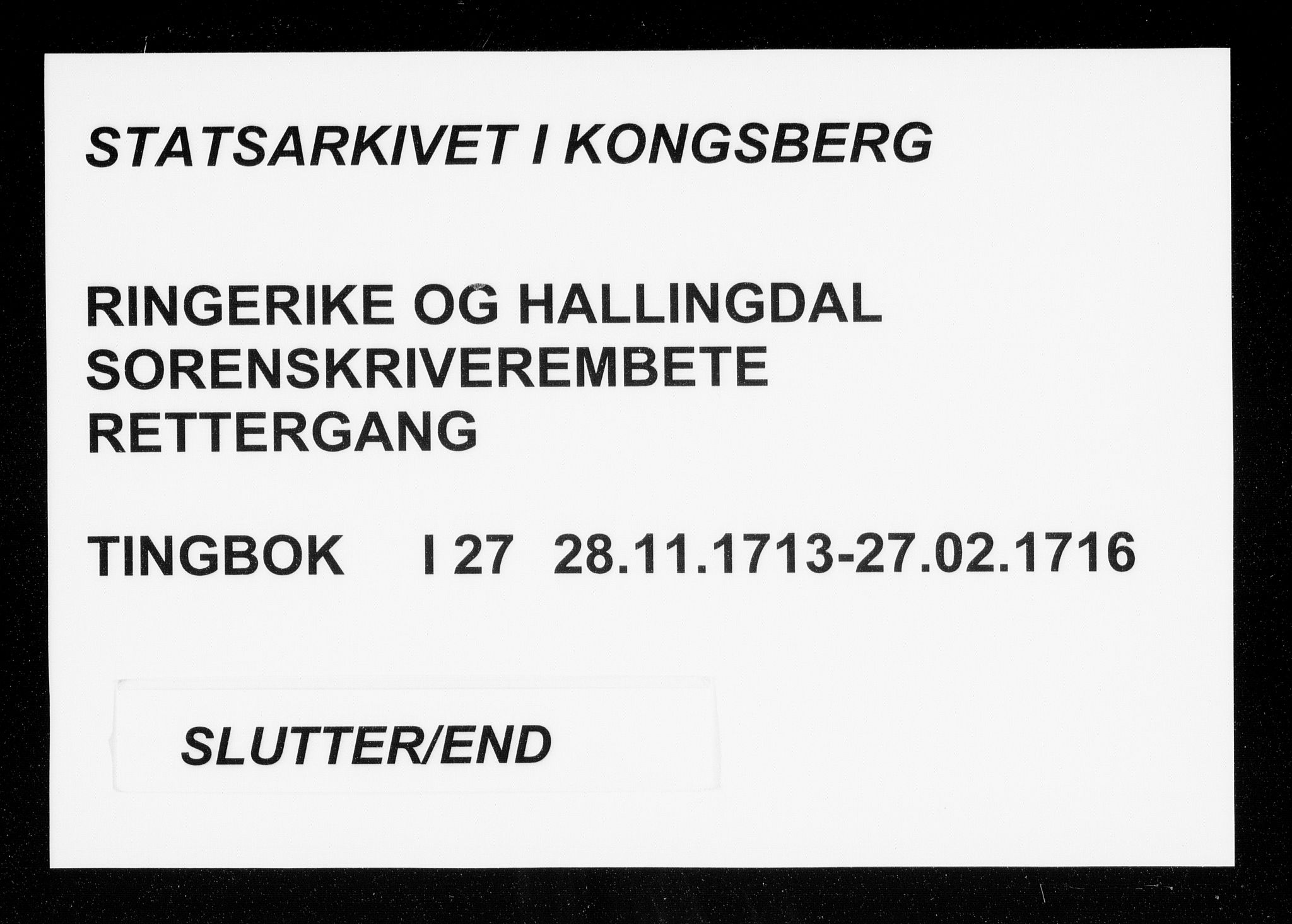 Ringerike og Hallingdal sorenskriveri, AV/SAKO-A-81/F/Fa/Faa/L0027: Tingbok, 1713-1716