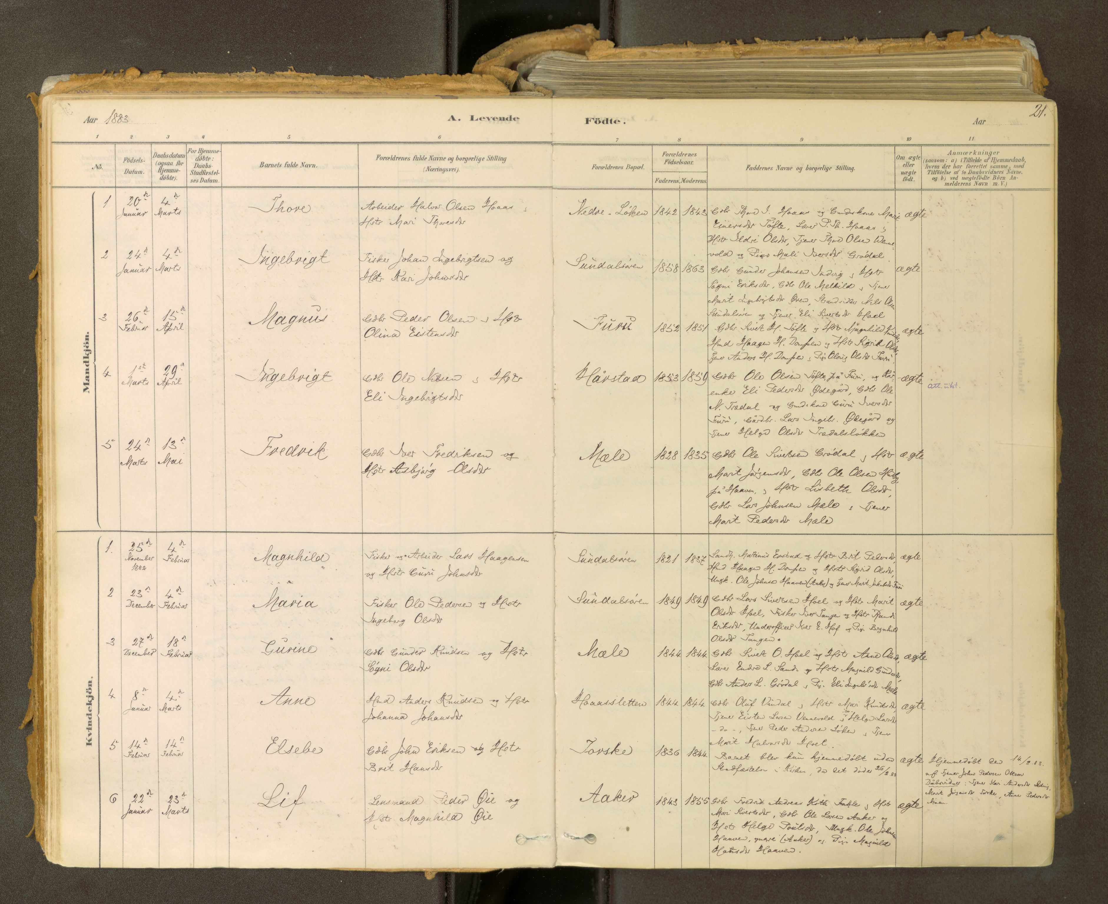 Sunndal sokneprestkontor, SAT/A-1085/1/I/I1/I1a: Parish register (official) no. 2, 1877-1914, p. 21