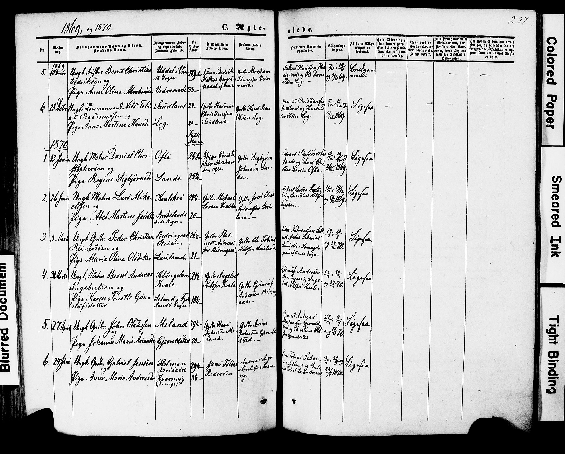 Herad sokneprestkontor, AV/SAK-1111-0018/F/Fa/Faa/L0005: Parish register (official) no. A 5, 1853-1886, p. 237