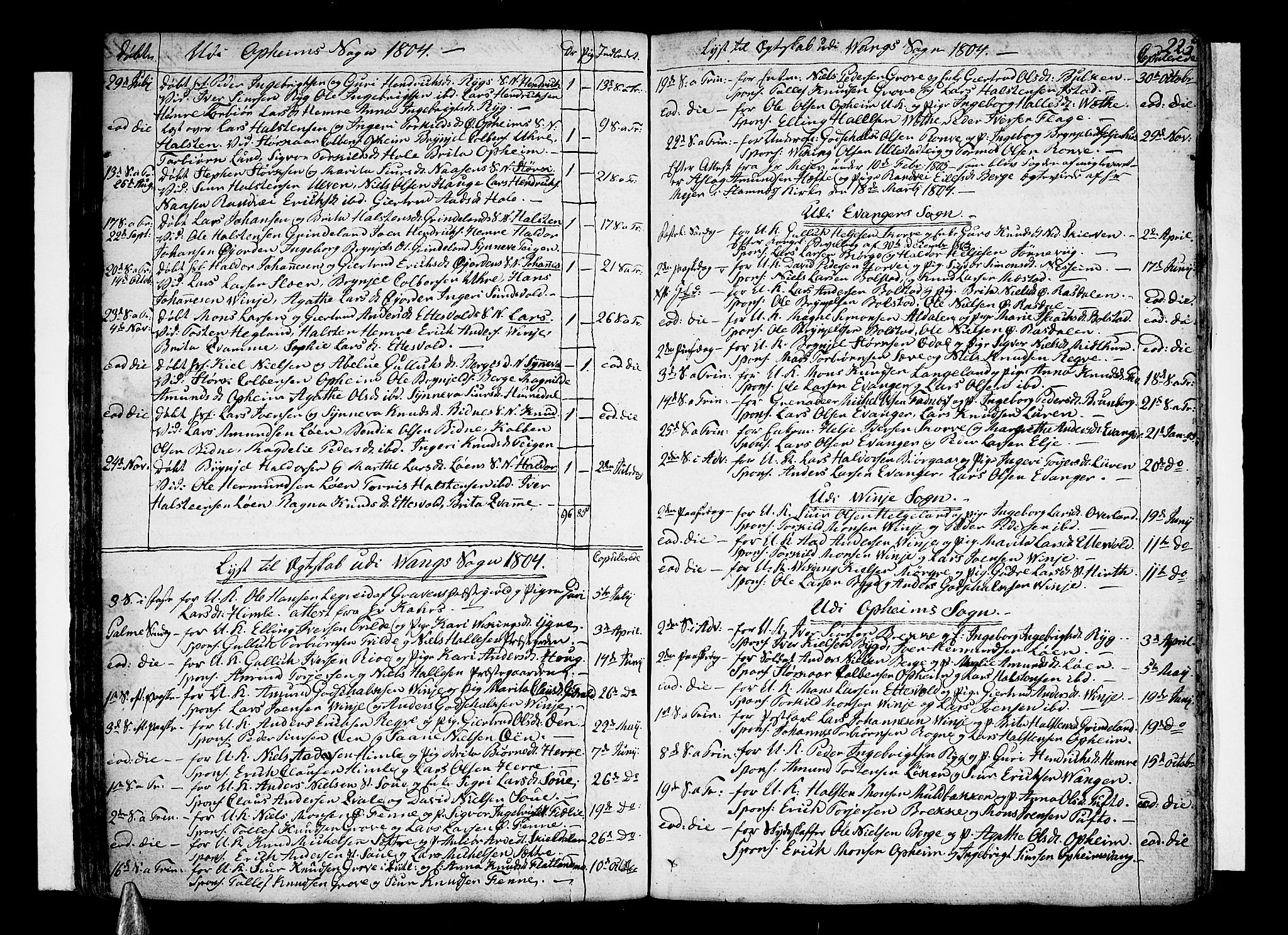 Voss sokneprestembete, SAB/A-79001/H/Haa: Parish register (official) no. A 9, 1780-1810, p. 225