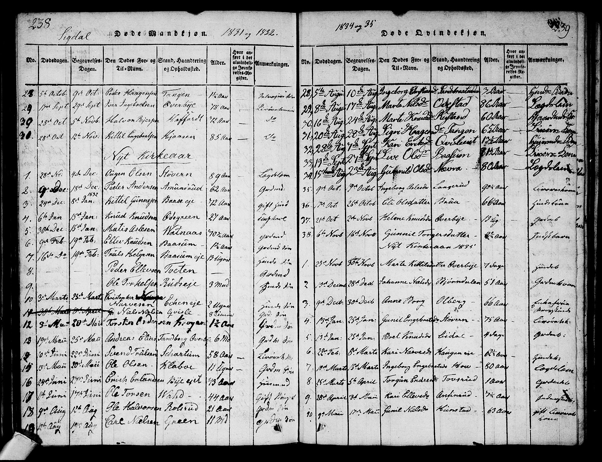 Sigdal kirkebøker, AV/SAKO-A-245/G/Ga/L0001: Parish register (copy) no. I 1 /1, 1816-1835, p. 238-239