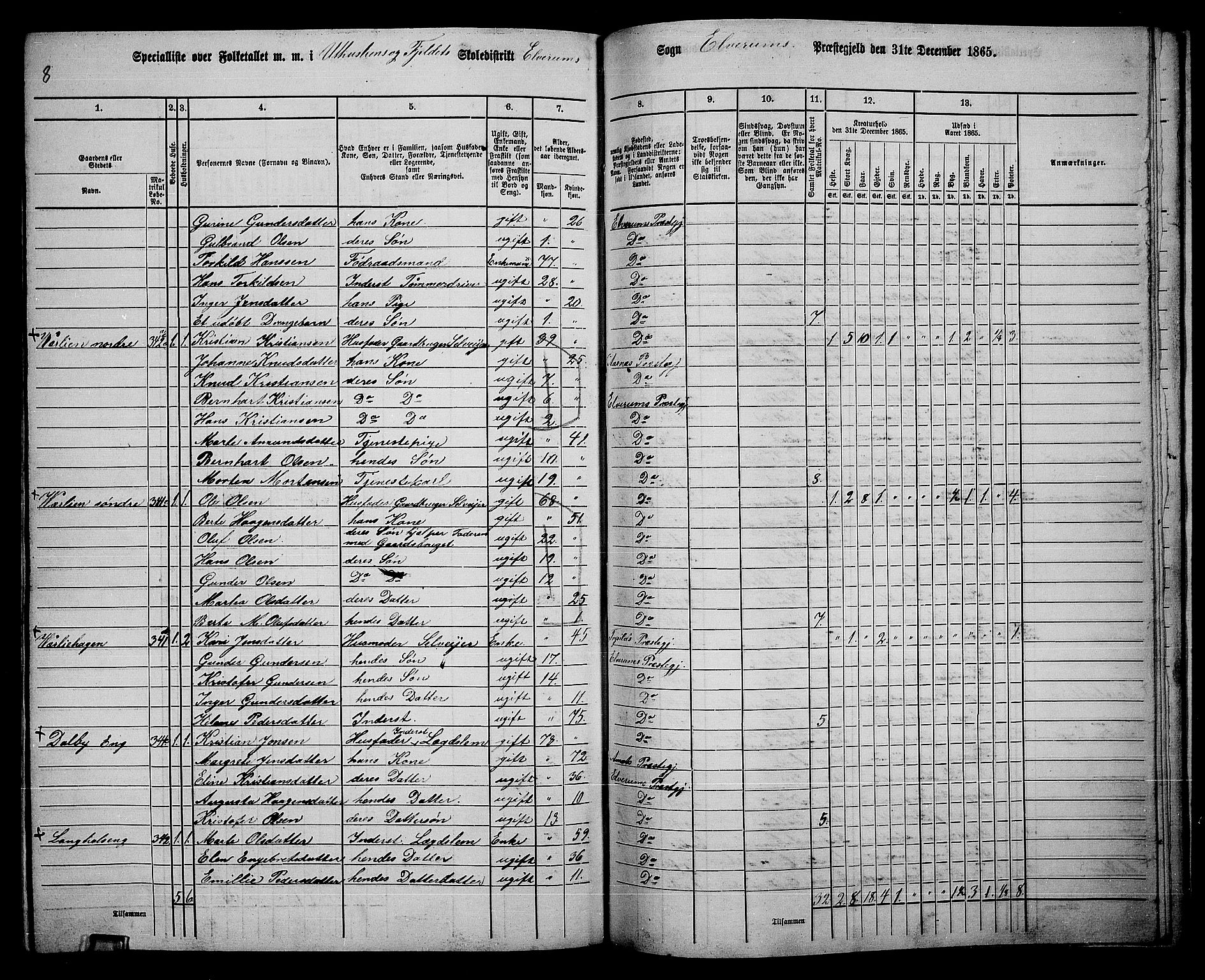 RA, 1865 census for Elverum, 1865, p. 243