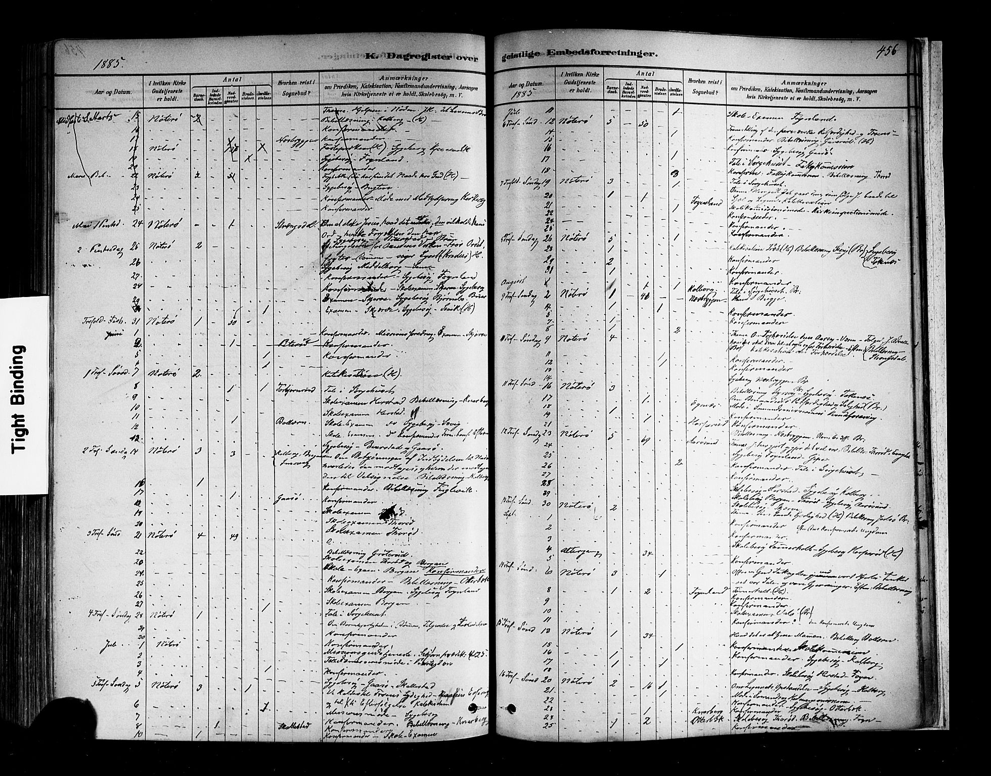 Nøtterøy kirkebøker, AV/SAKO-A-354/F/Fa/L0008: Parish register (official) no. I 8, 1878-1893, p. 456