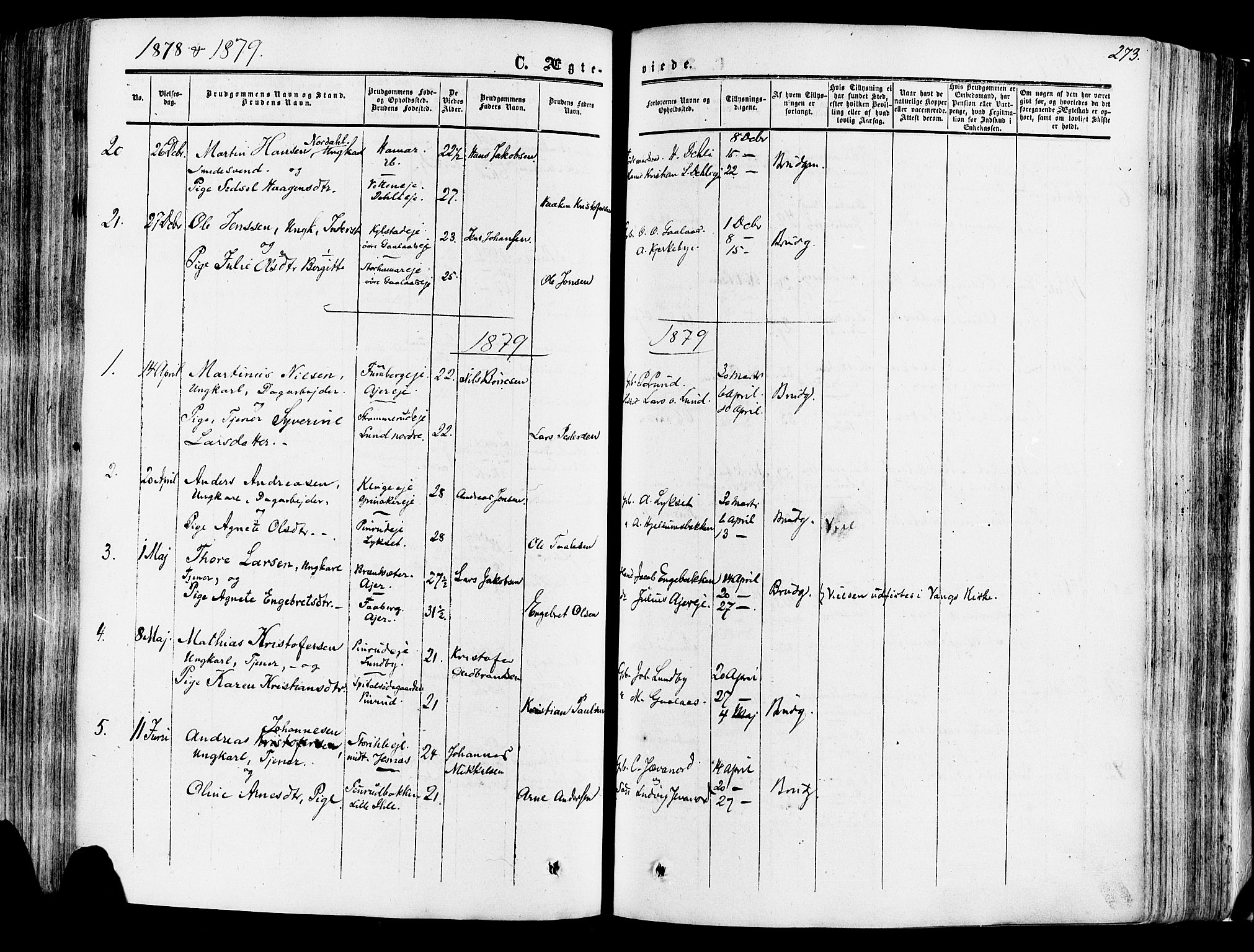 Vang prestekontor, Hedmark, AV/SAH-PREST-008/H/Ha/Haa/L0013: Parish register (official) no. 13, 1855-1879, p. 273