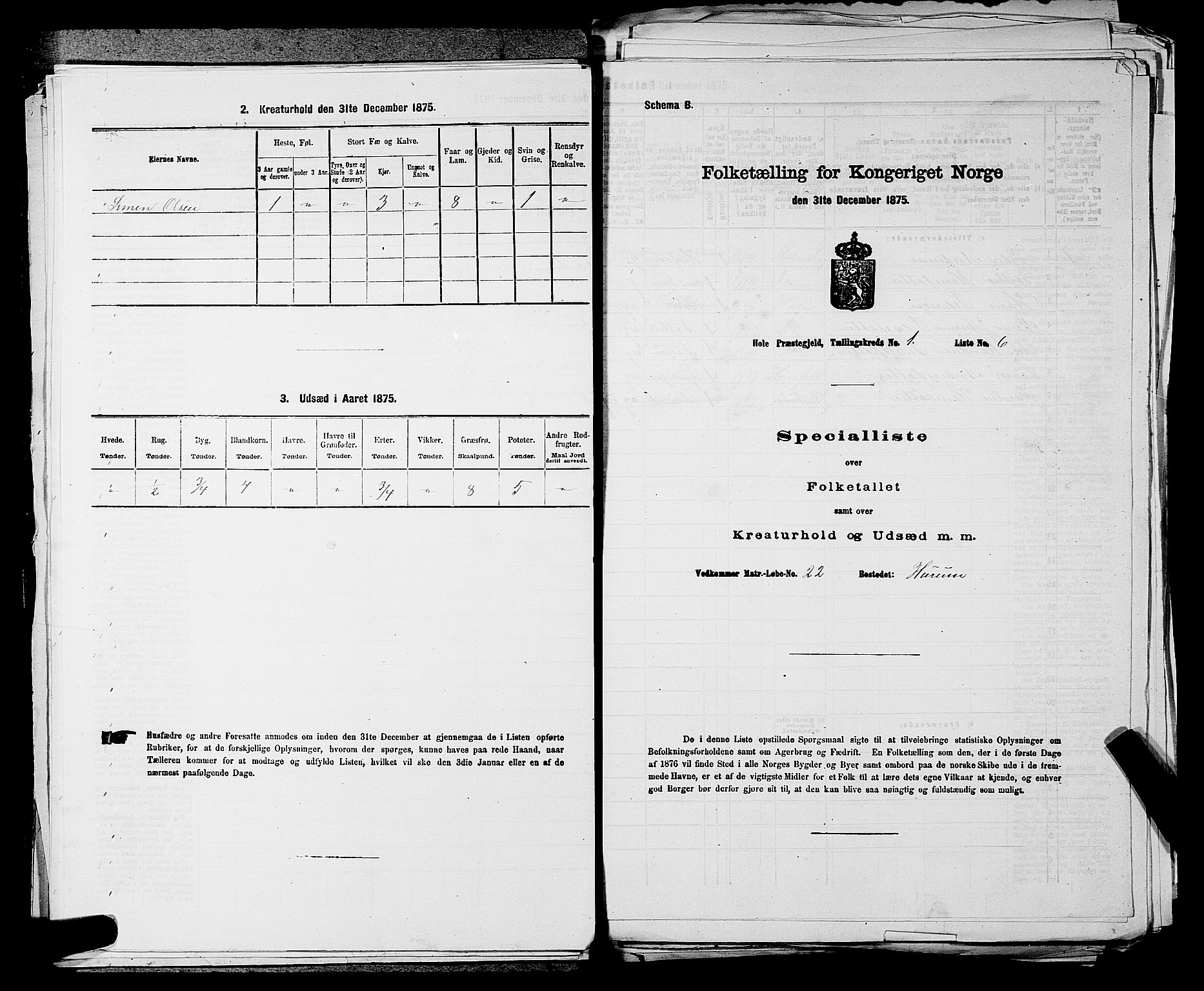 SAKO, 1875 census for 0612P Hole, 1875, p. 152