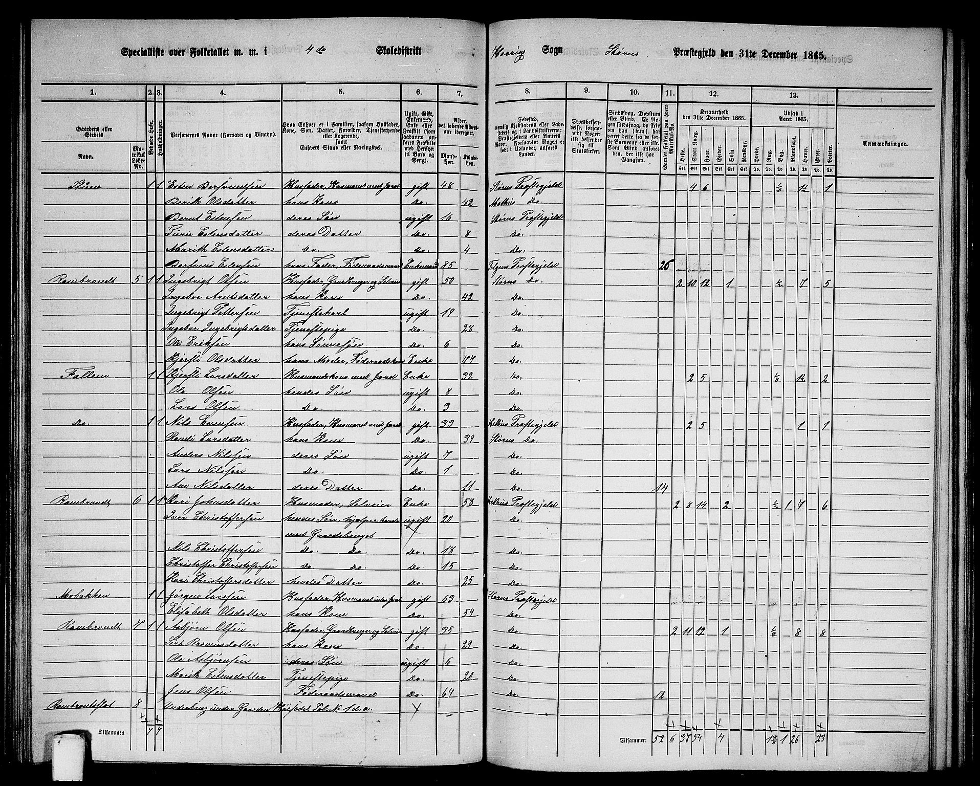 RA, 1865 census for Støren, 1865, p. 174