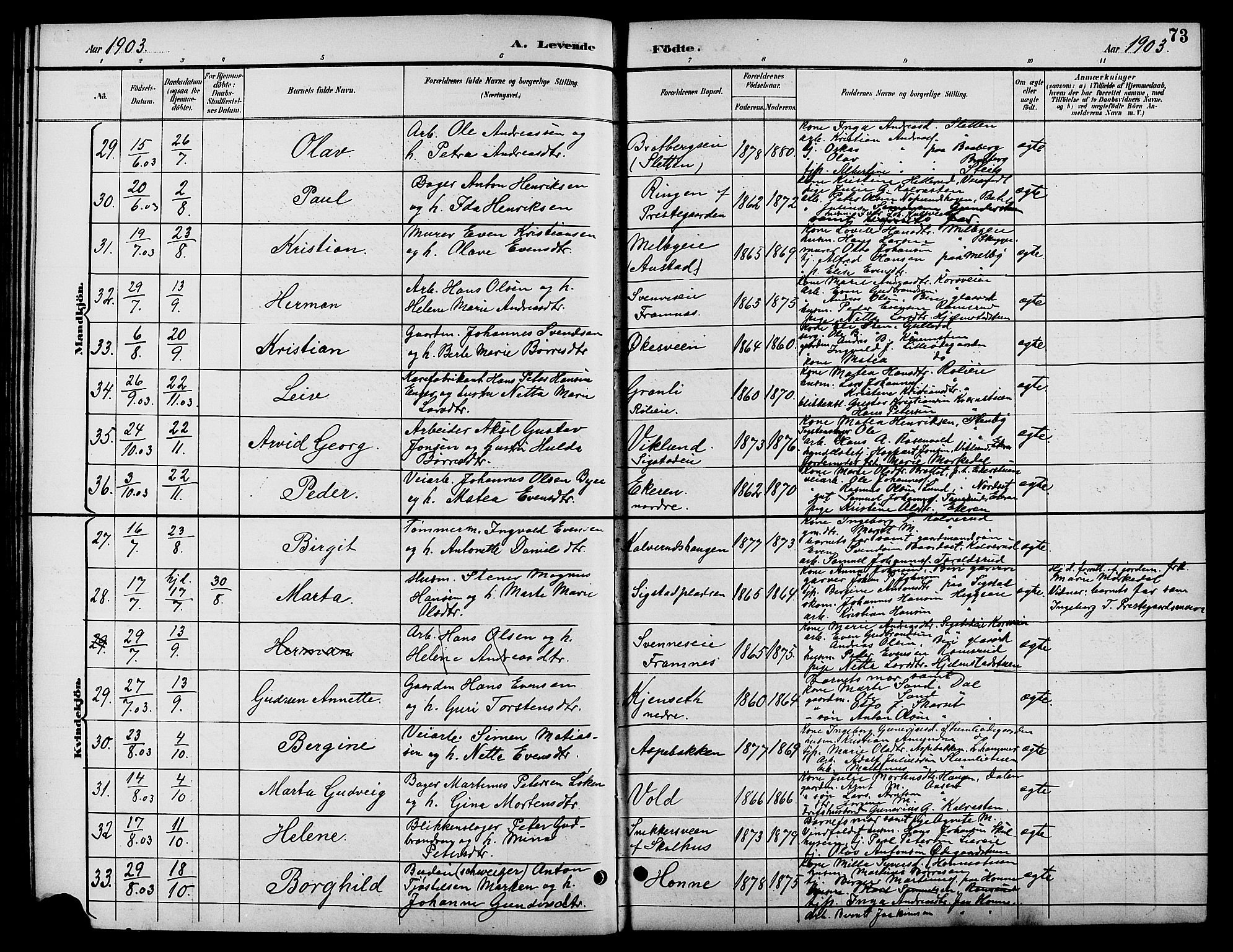 Biri prestekontor, SAH/PREST-096/H/Ha/Hab/L0004: Parish register (copy) no. 4, 1892-1909, p. 73