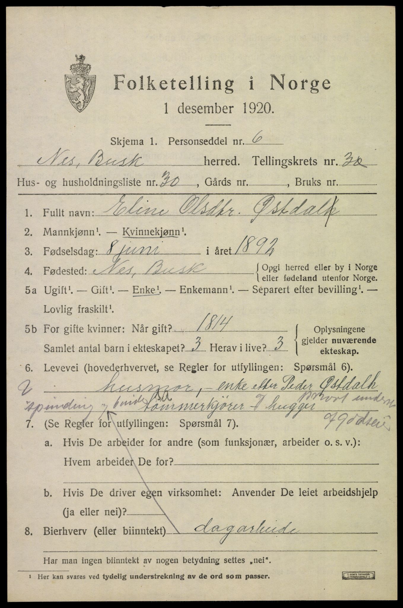 SAKO, 1920 census for Nes (Buskerud), 1920, p. 1910