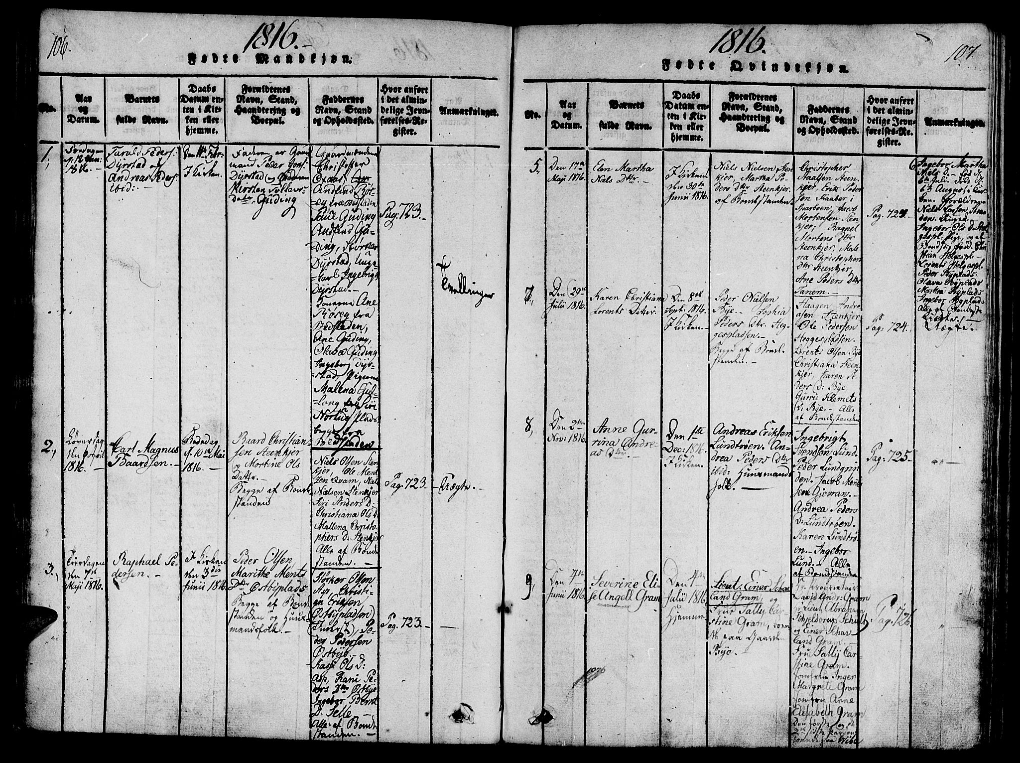 Ministerialprotokoller, klokkerbøker og fødselsregistre - Nord-Trøndelag, SAT/A-1458/746/L0441: Parish register (official) no. 746A03 /3, 1816-1827, p. 106-107