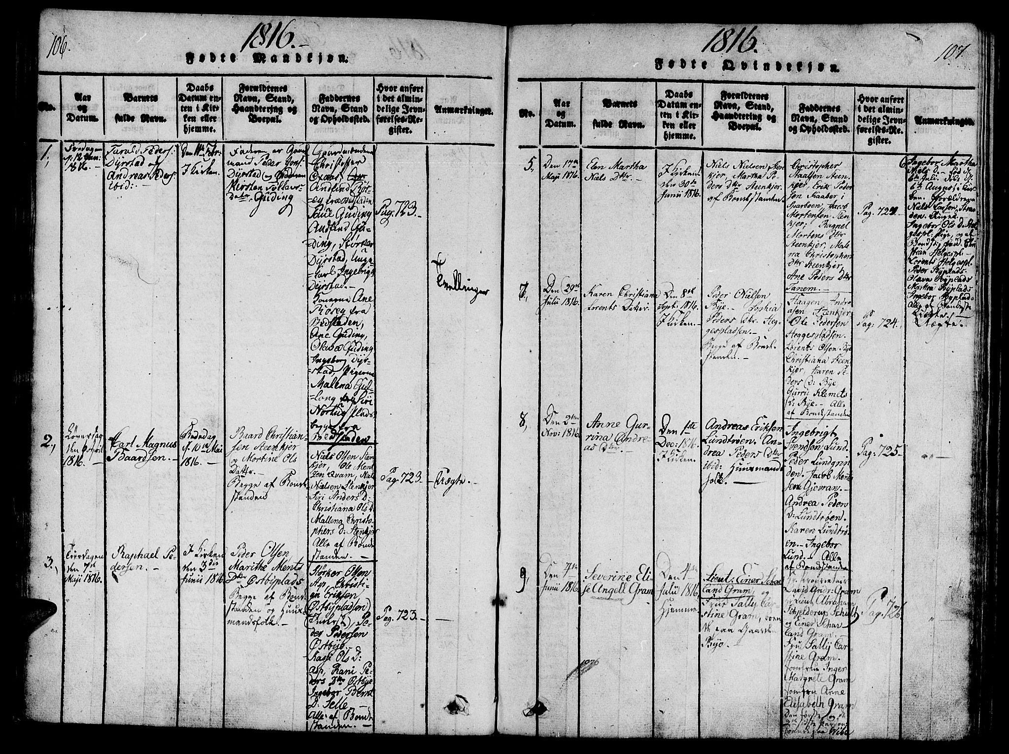 Ministerialprotokoller, klokkerbøker og fødselsregistre - Nord-Trøndelag, AV/SAT-A-1458/746/L0441: Parish register (official) no. 746A03 /3, 1816-1827, p. 106-107