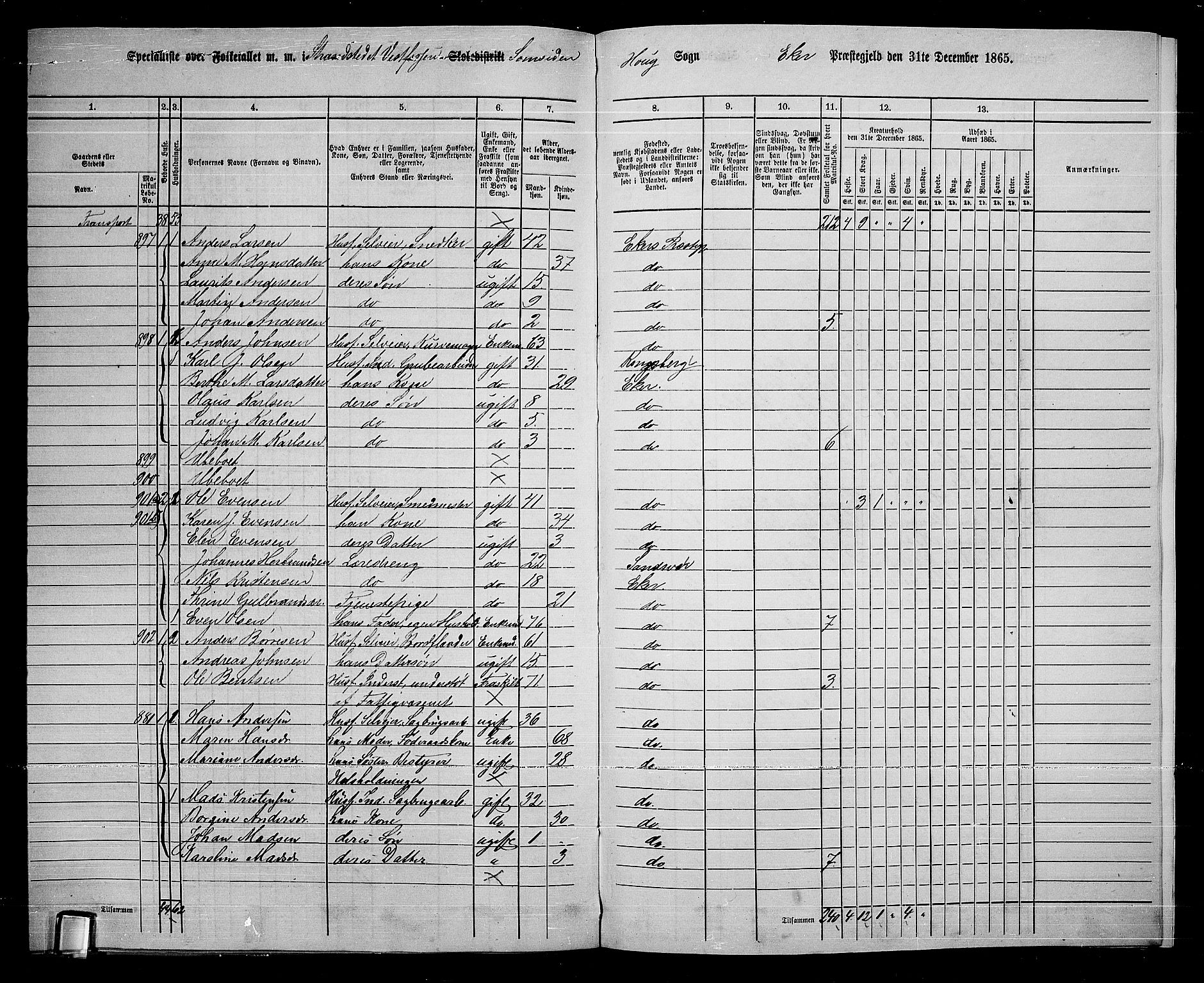 RA, 1865 census for Eiker, 1865, p. 261