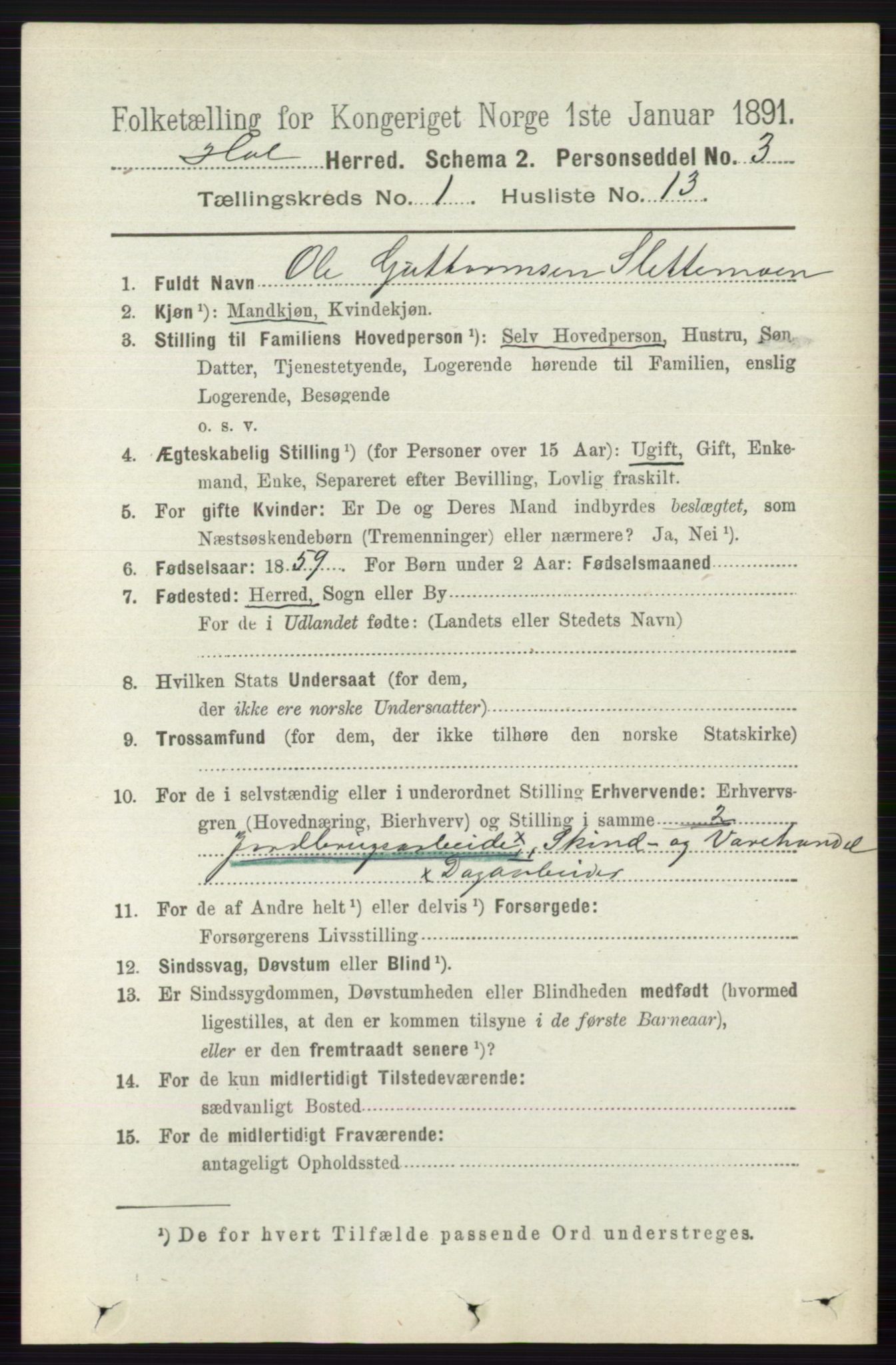 RA, 1891 census for 0620 Hol, 1891, p. 133