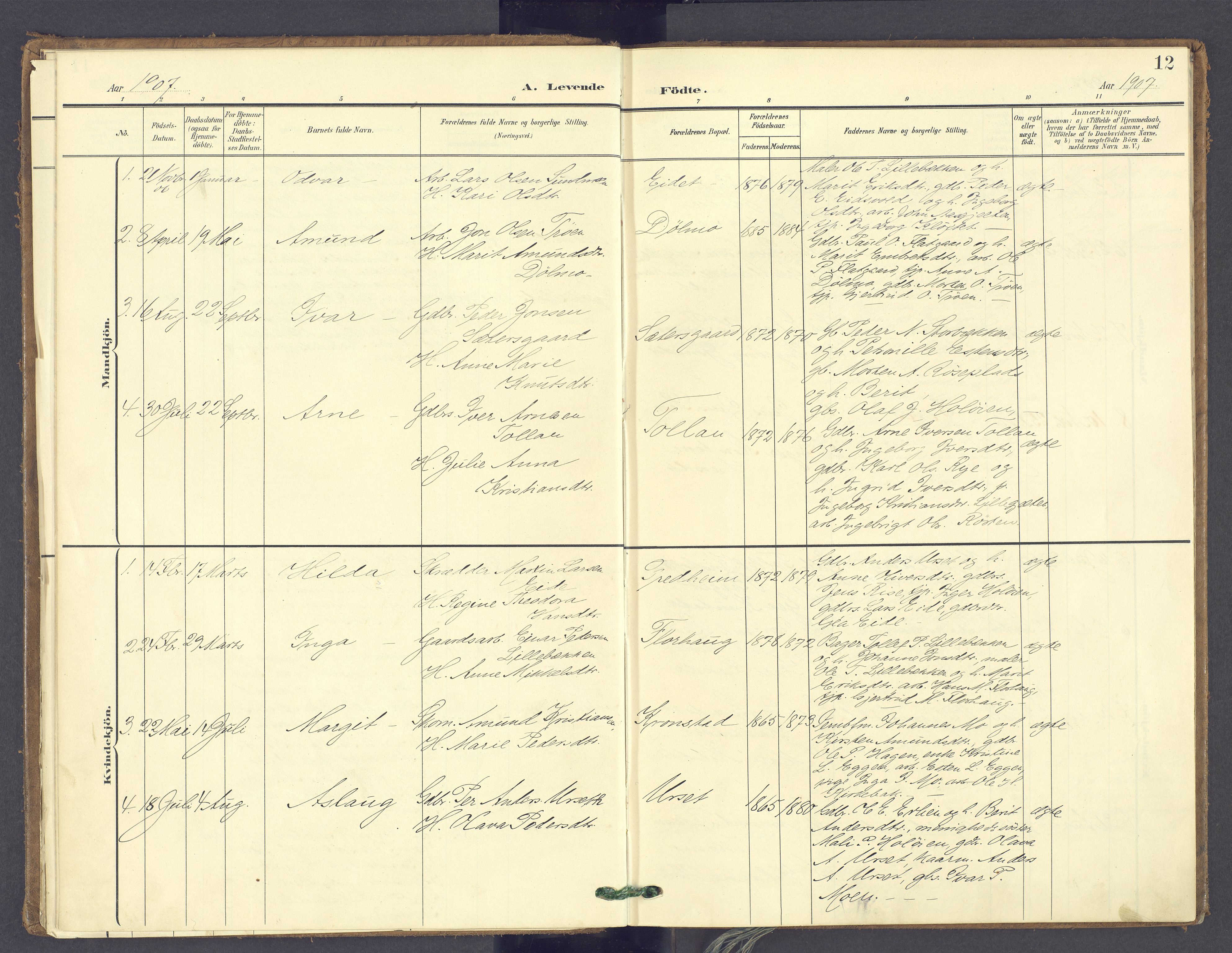 Tolga prestekontor, SAH/PREST-062/K/L0014: Parish register (official) no. 14, 1903-1929, p. 12