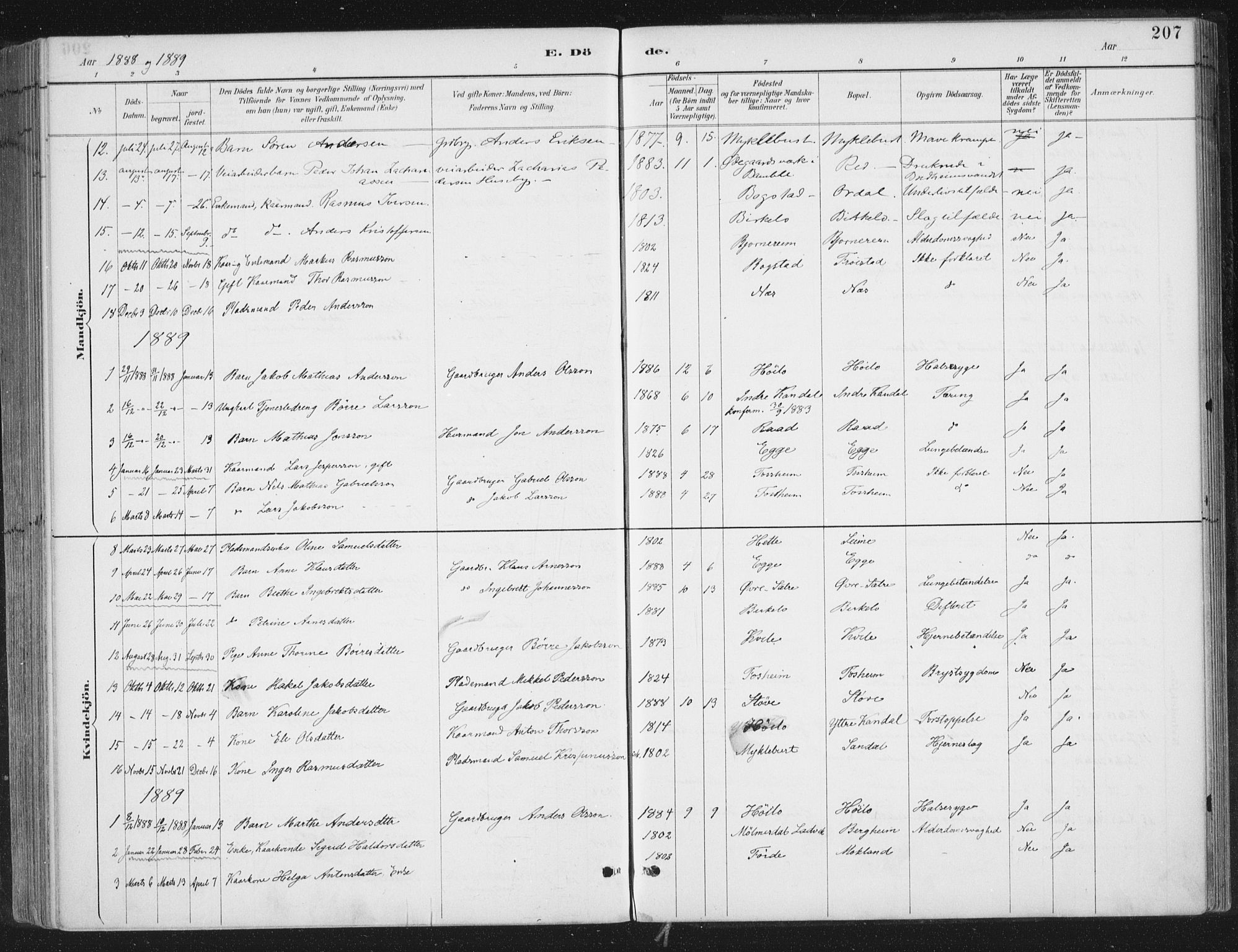 Gloppen sokneprestembete, AV/SAB-A-80101/H/Haa/Haac/L0002: Parish register (official) no. C  2, 1887-1904, p. 207