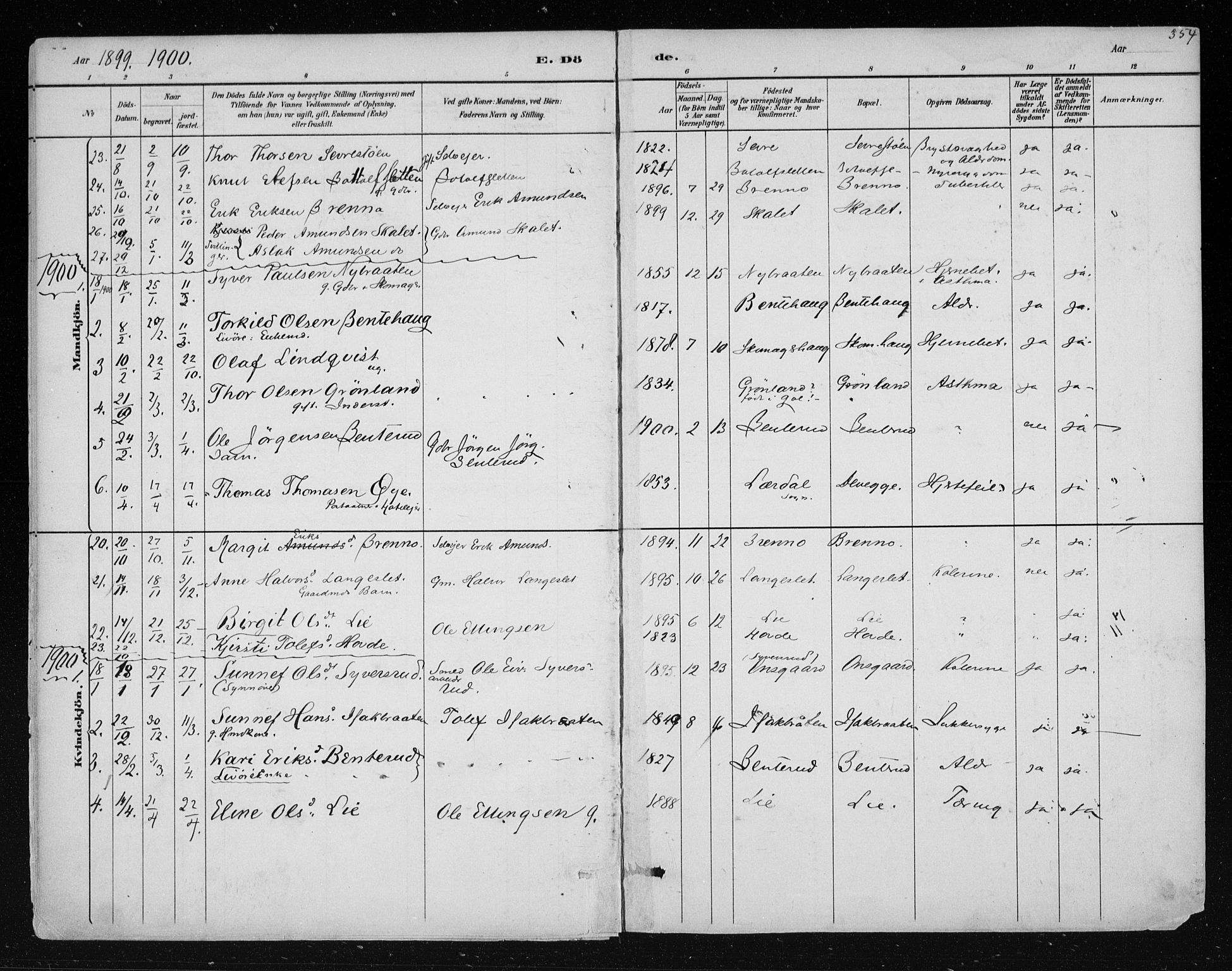Nes kirkebøker, AV/SAKO-A-236/F/Fa/L0011: Parish register (official) no. 11, 1881-1912, p. 354