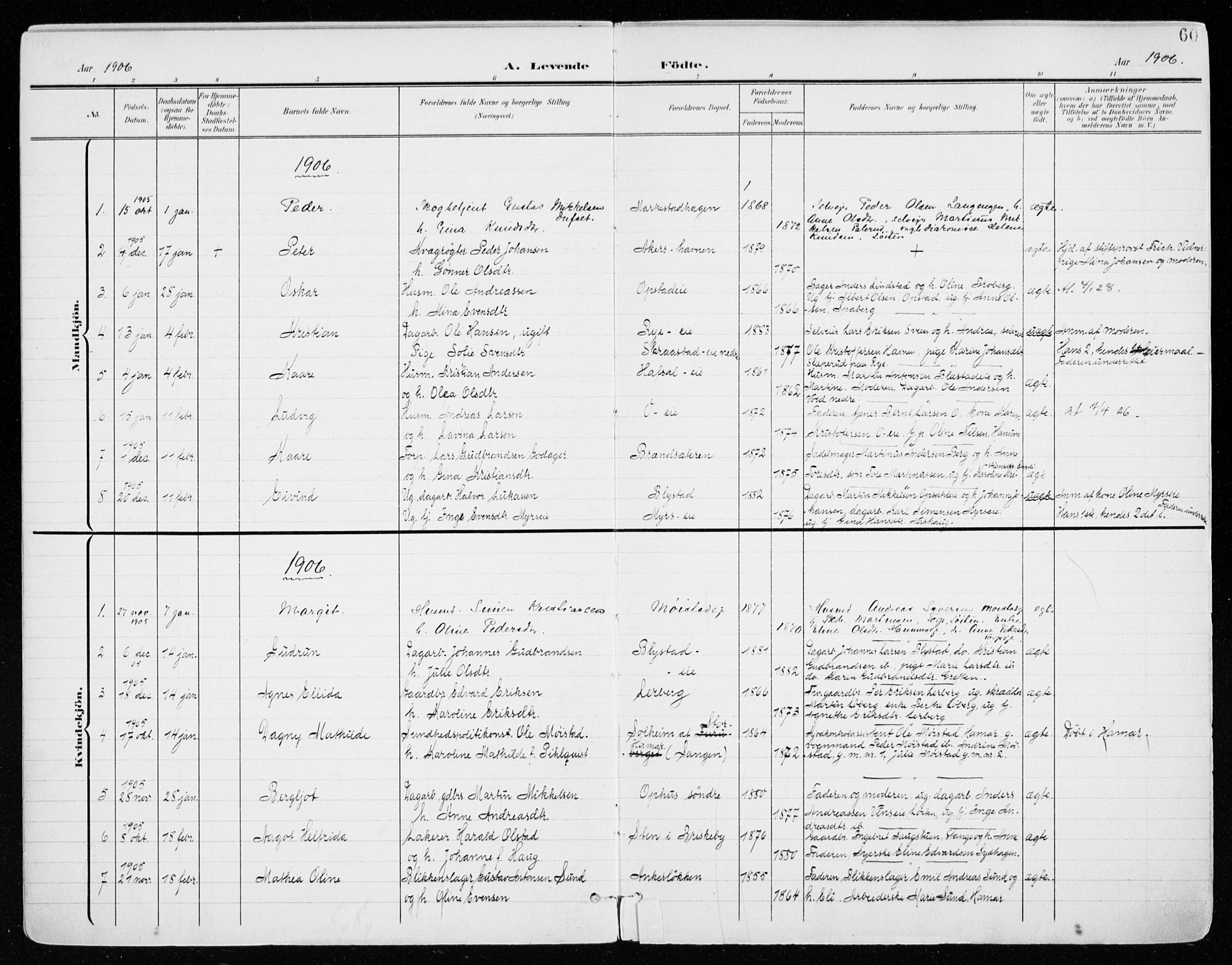 Vang prestekontor, Hedmark, AV/SAH-PREST-008/H/Ha/Haa/L0021: Parish register (official) no. 21, 1902-1917, p. 60