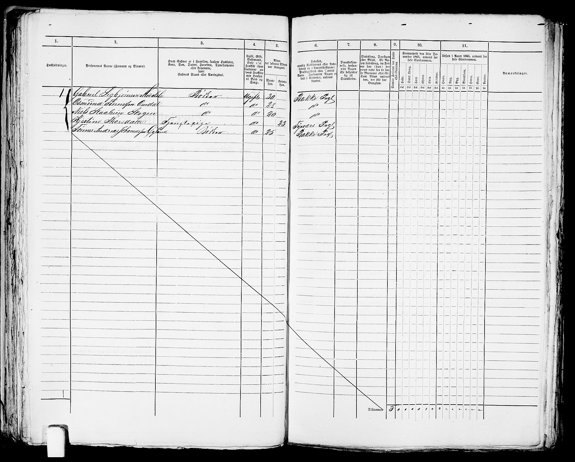 RA, 1865 census for Torvastad/Haugesund, 1865, p. 247