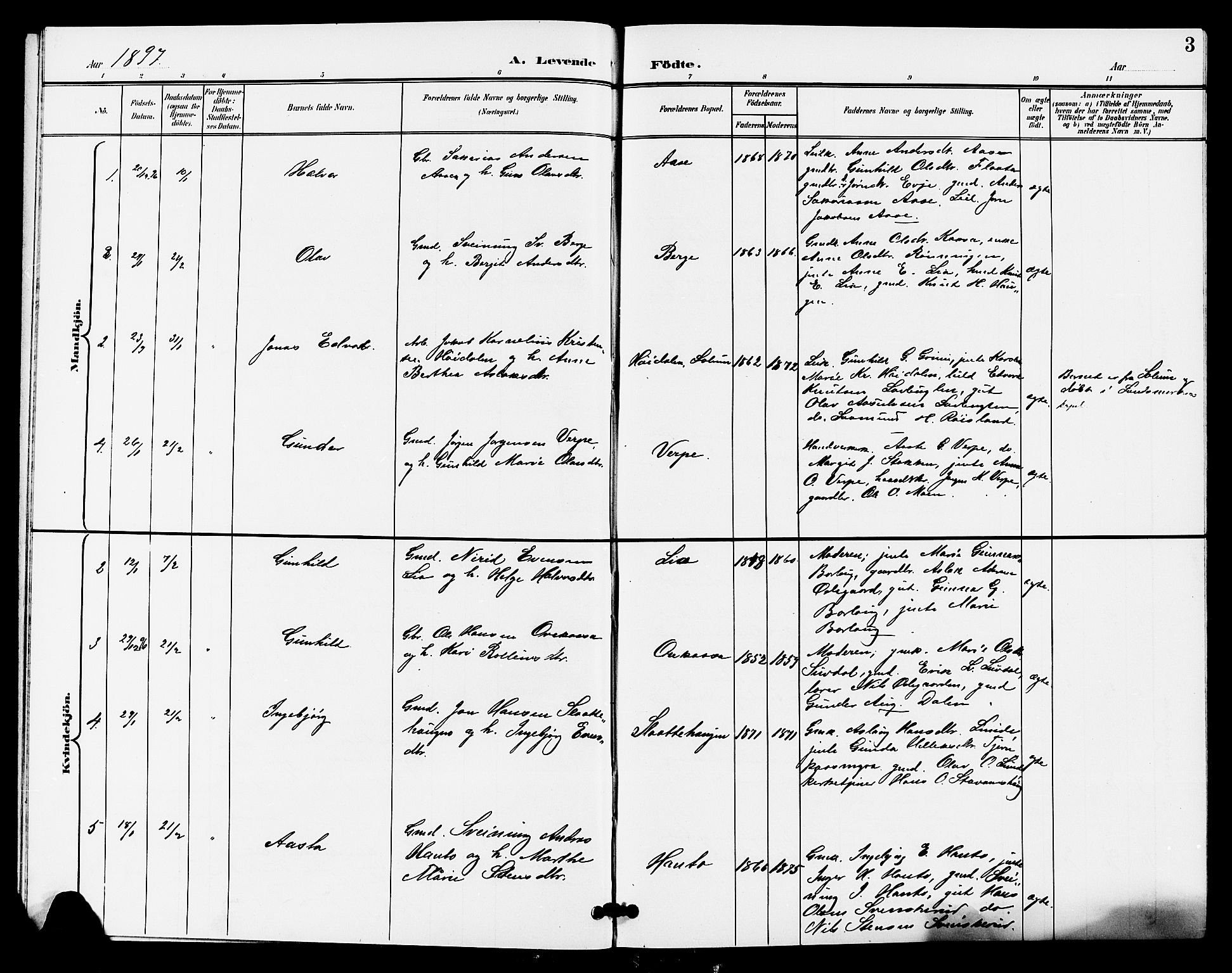 Lunde kirkebøker, SAKO/A-282/G/Ga/L0003: Parish register (copy) no. I 3, 1896-1905, p. 3