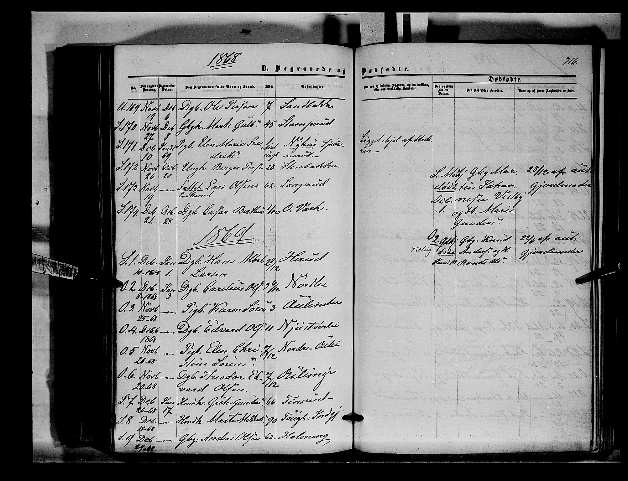 Sør-Odal prestekontor, SAH/PREST-030/H/Ha/Haa/L0003: Parish register (official) no. 3, 1864-1870, p. 316