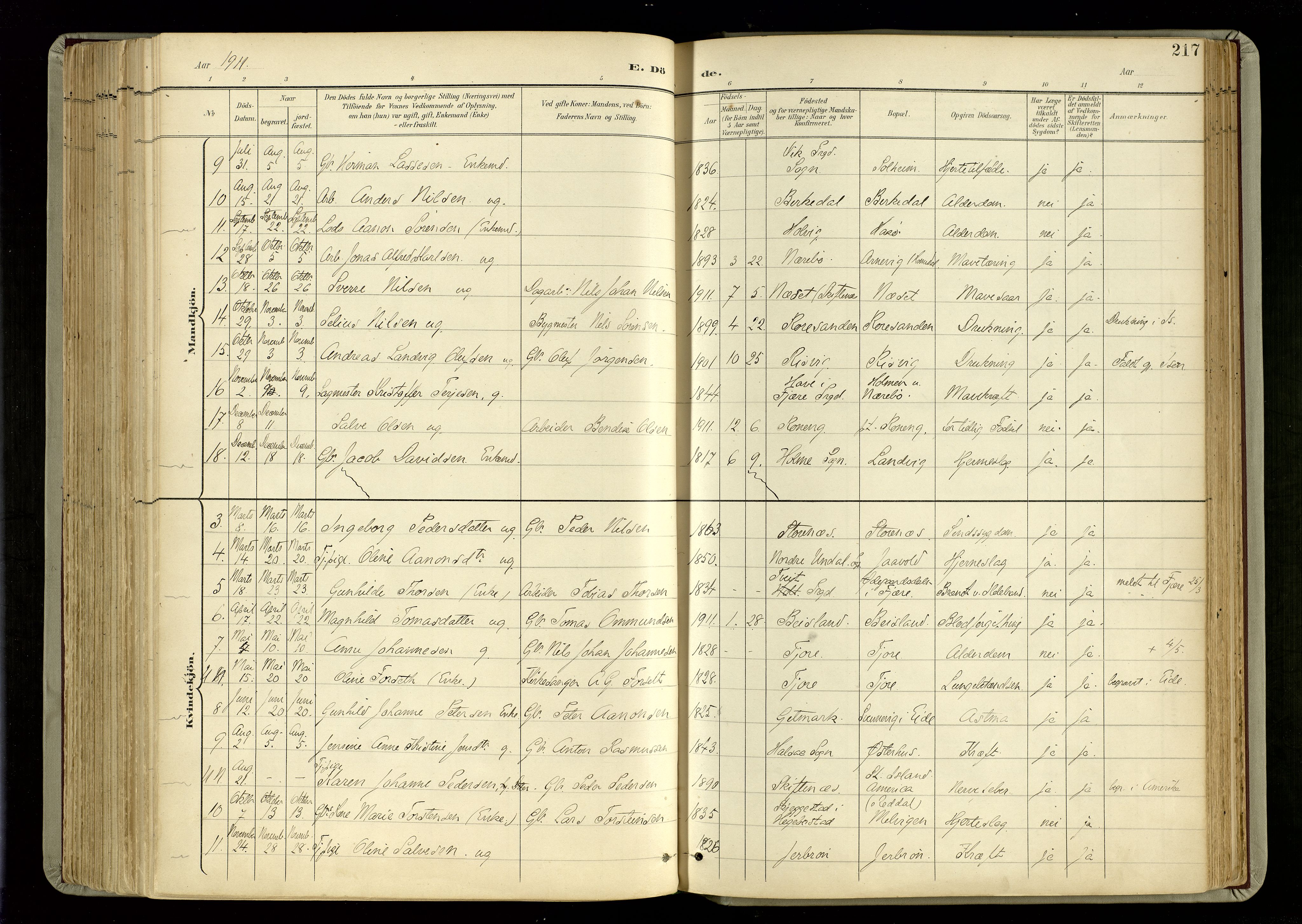 Hommedal sokneprestkontor, SAK/1111-0023/F/Fa/Fab/L0007: Parish register (official) no. A 7, 1898-1924, p. 217