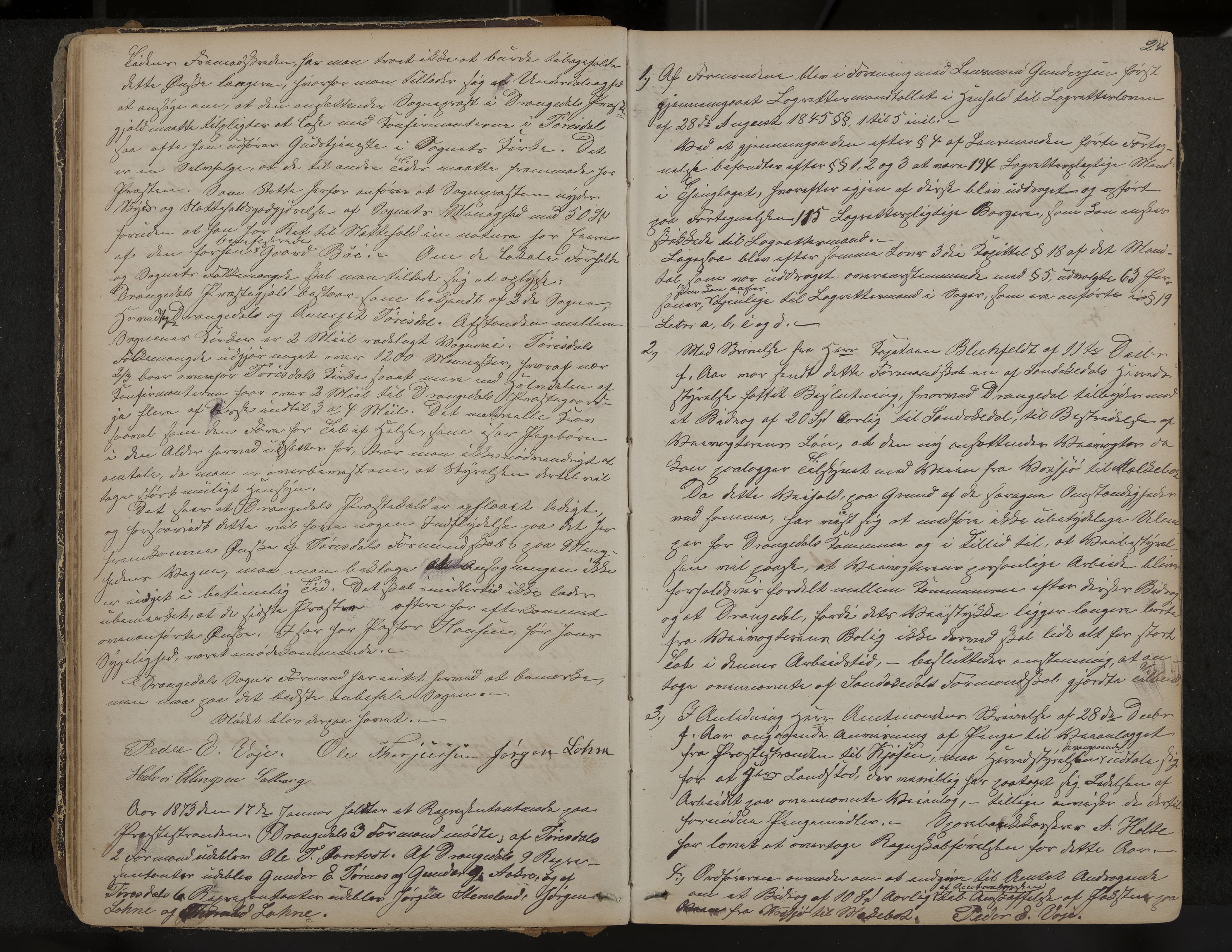Drangedal formannskap og sentraladministrasjon, IKAK/0817021/A/L0002: Møtebok, 1870-1892, p. 24