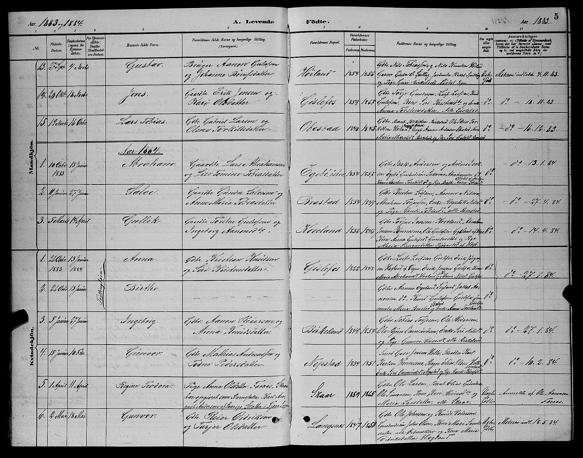 Nord-Audnedal sokneprestkontor, SAK/1111-0032/F/Fb/Fba/L0003: Parish register (copy) no. B 3, 1881-1900, p. 5