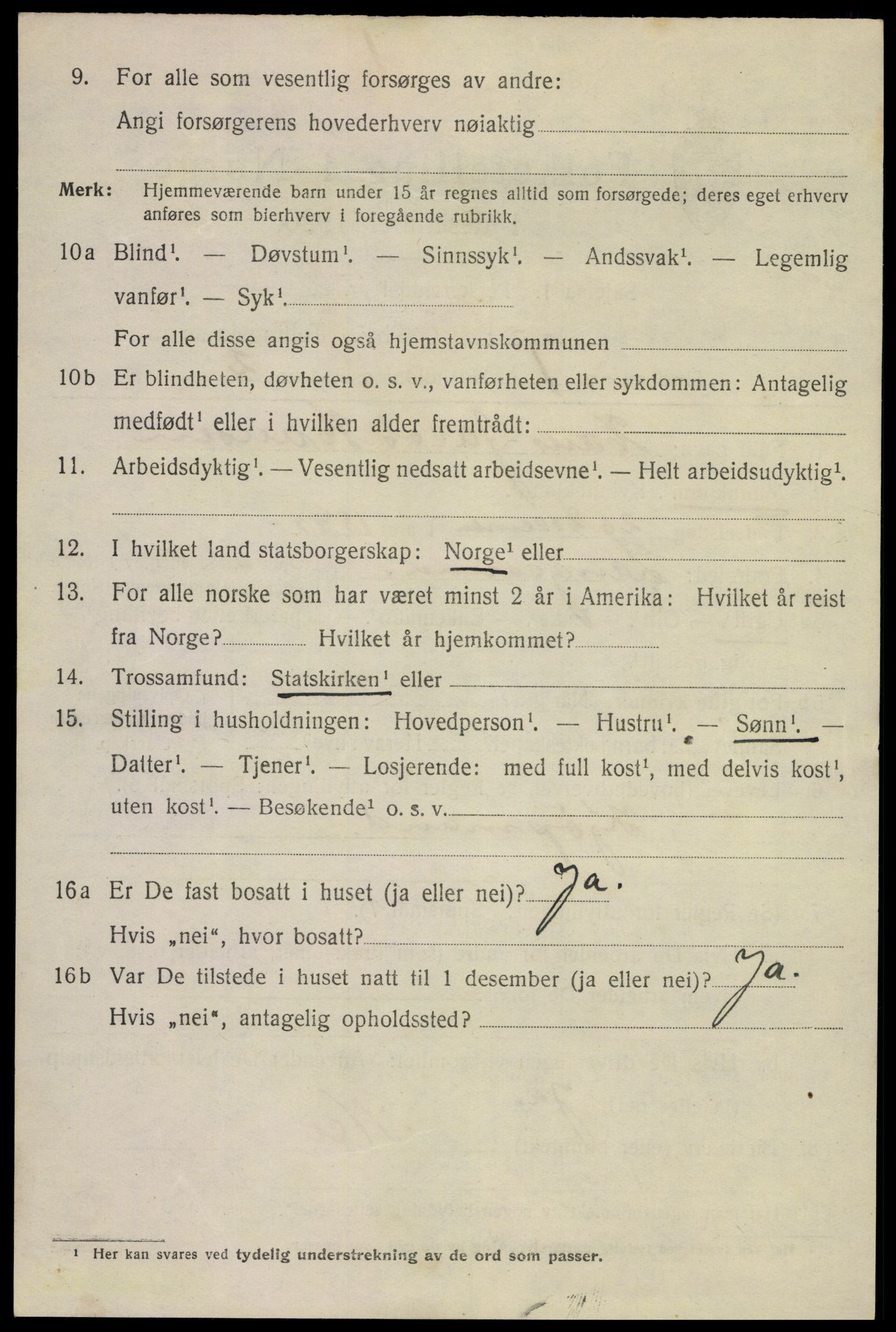 SAKO, 1920 census for Langesund, 1920, p. 1662