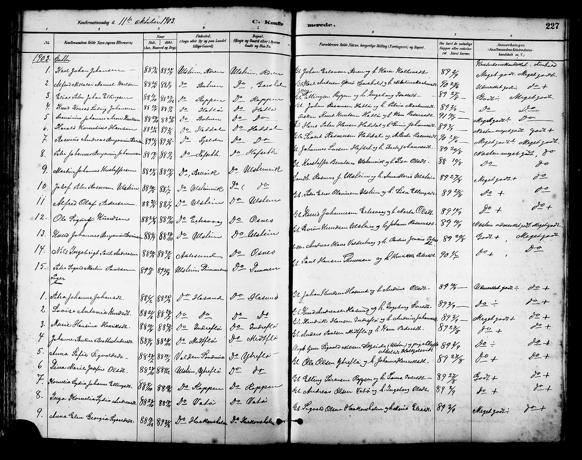Ministerialprotokoller, klokkerbøker og fødselsregistre - Møre og Romsdal, SAT/A-1454/509/L0112: Parish register (copy) no. 509C02, 1883-1922, p. 227