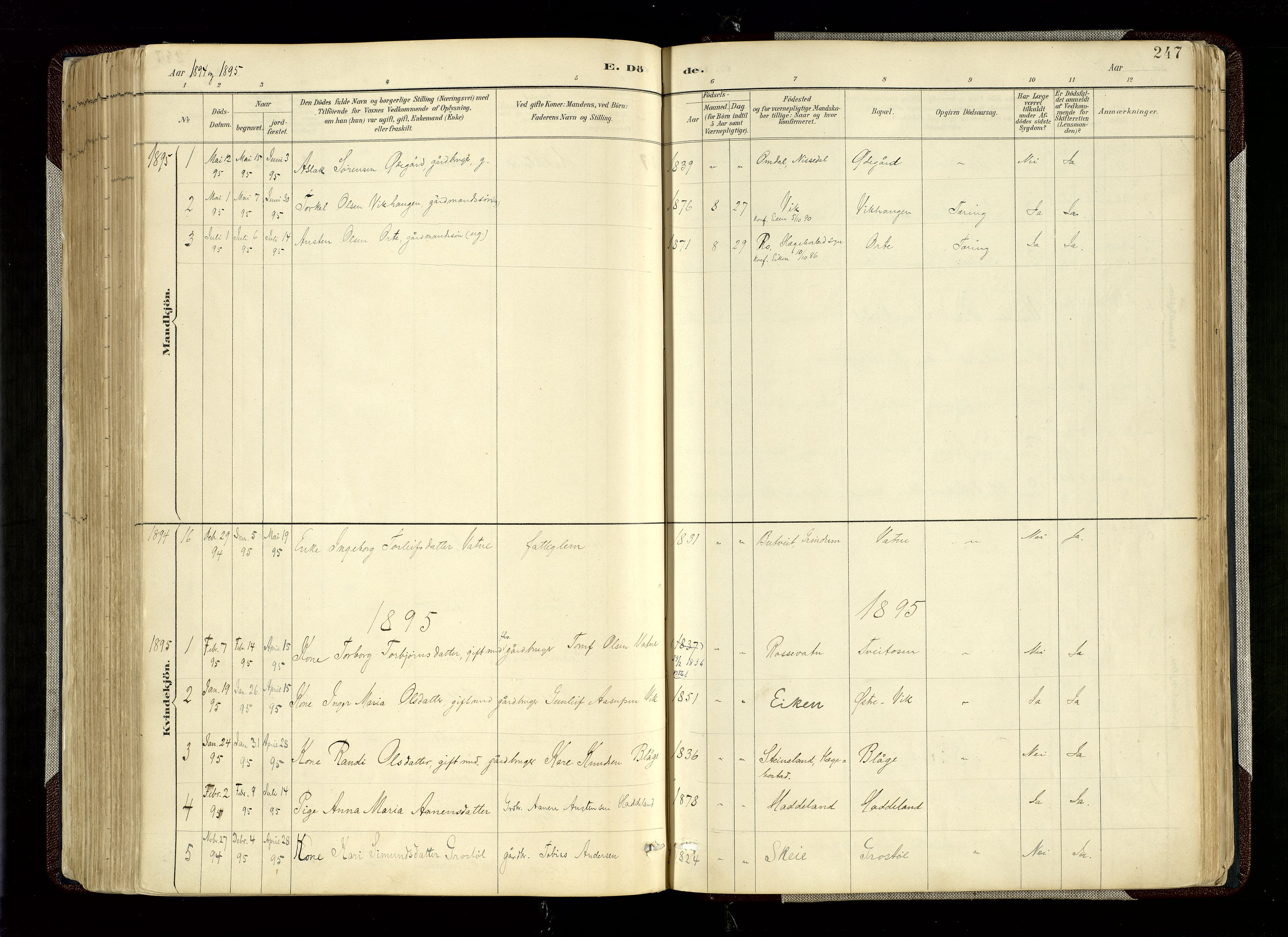 Hægebostad sokneprestkontor, SAK/1111-0024/F/Fa/Fab/L0004: Parish register (official) no. A 4, 1887-1929, p. 247