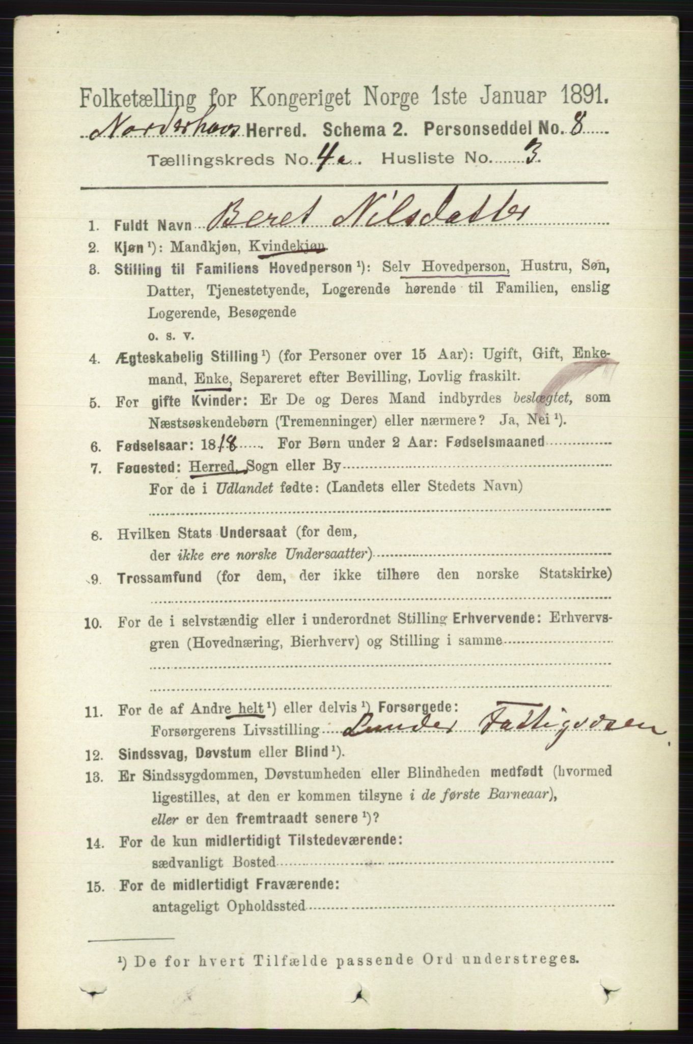 RA, 1891 census for 0613 Norderhov, 1891, p. 1736