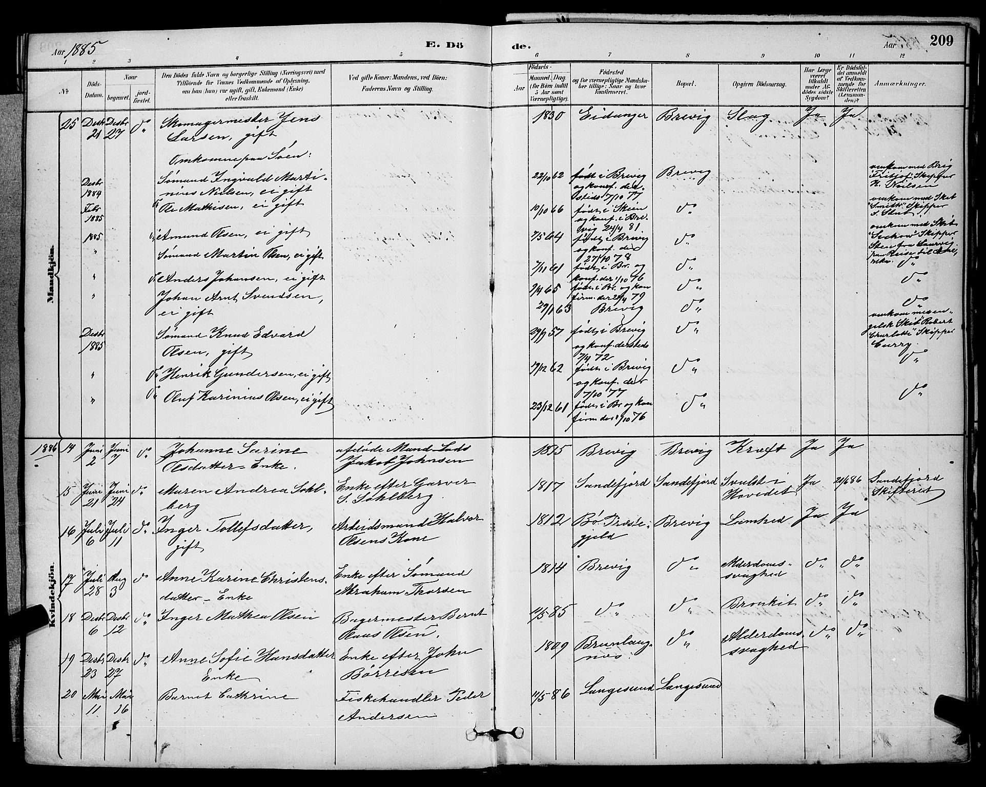 Brevik kirkebøker, AV/SAKO-A-255/G/Ga/L0004: Parish register (copy) no. 4, 1882-1900, p. 209