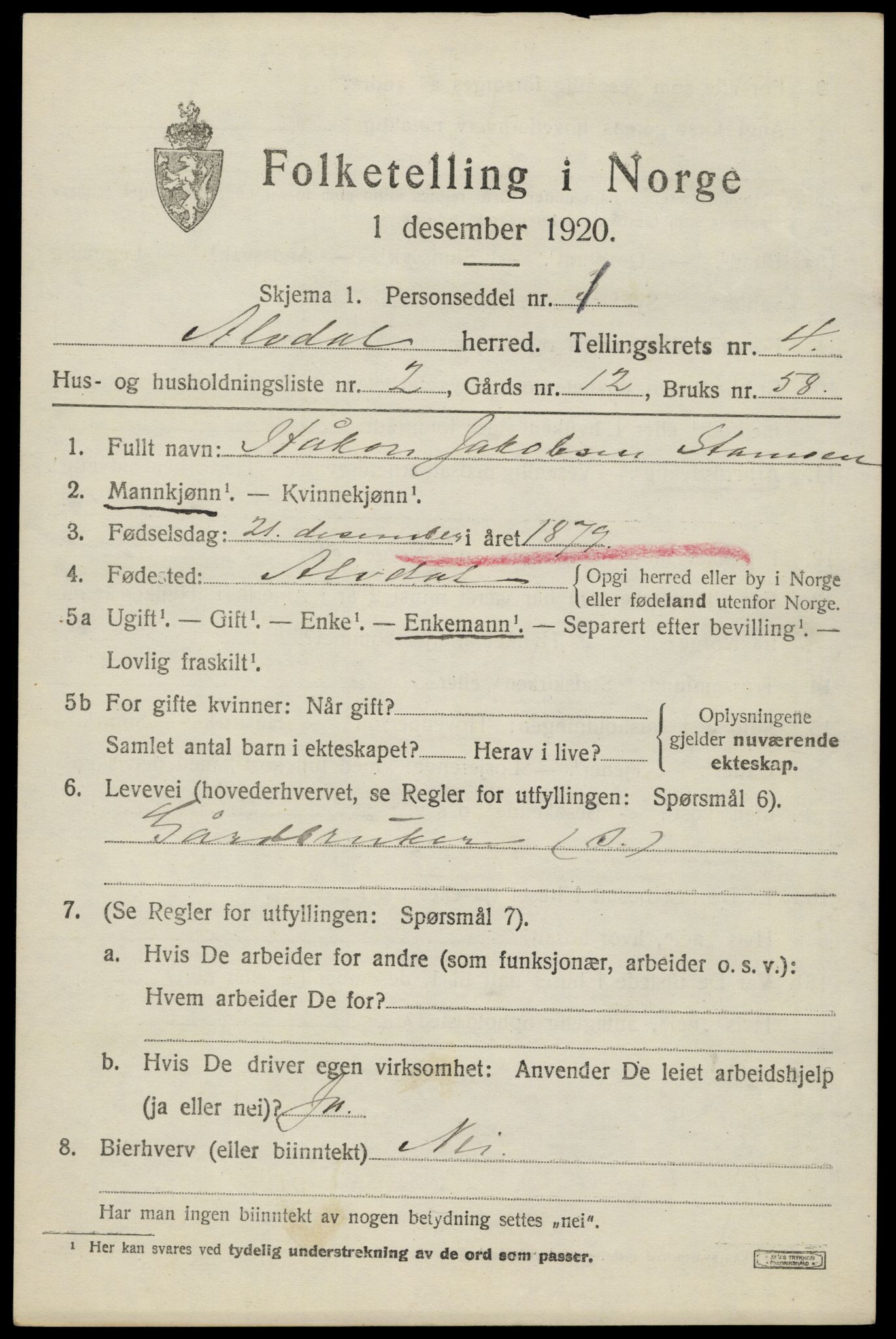 SAH, 1920 census for Alvdal, 1920, p. 2978