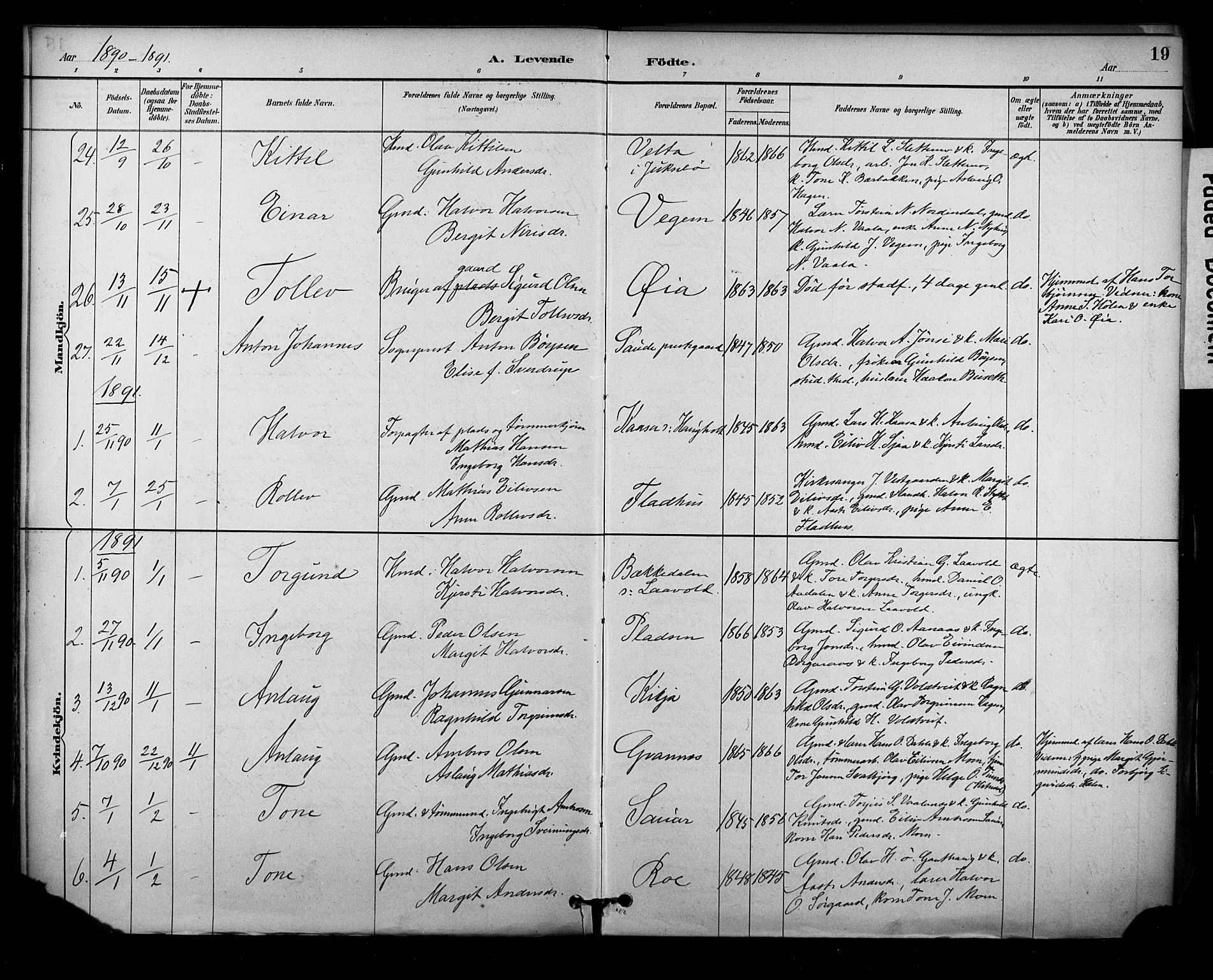 Sauherad kirkebøker, SAKO/A-298/F/Fa/L0009: Parish register (official) no. I 9, 1887-1912, p. 19