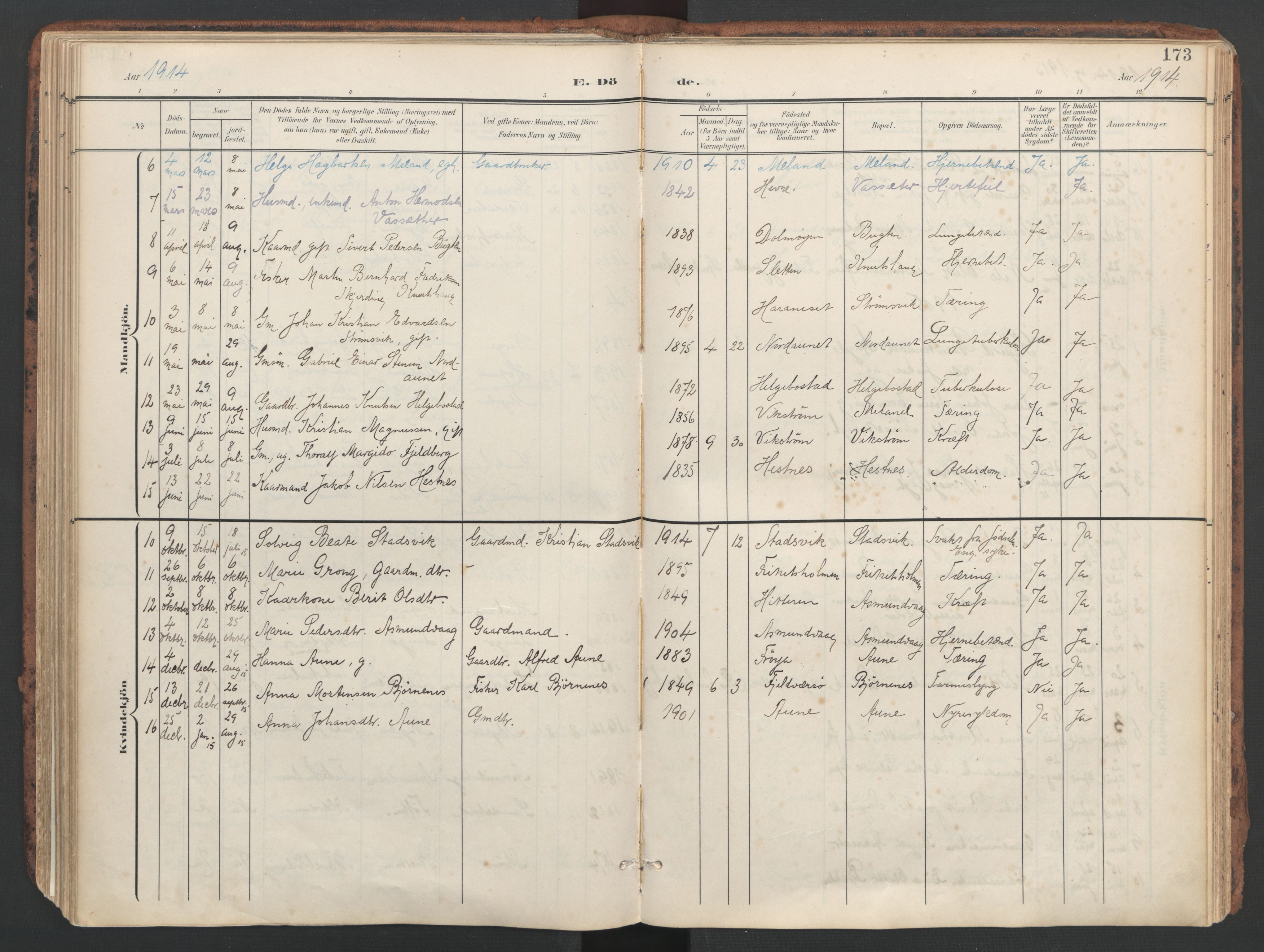 Ministerialprotokoller, klokkerbøker og fødselsregistre - Sør-Trøndelag, SAT/A-1456/634/L0537: Parish register (official) no. 634A13, 1896-1922, p. 173