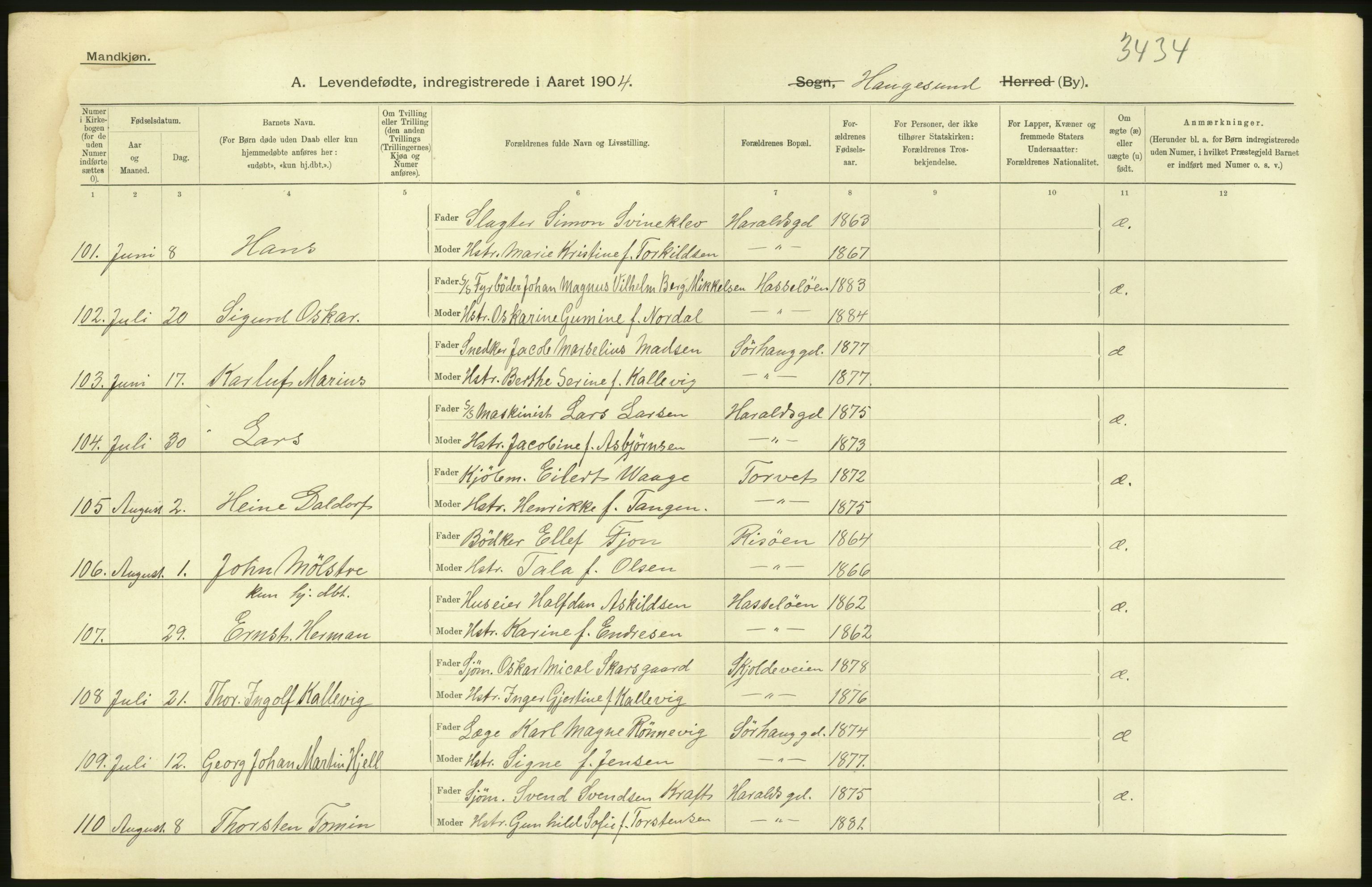 Statistisk sentralbyrå, Sosiodemografiske emner, Befolkning, AV/RA-S-2228/D/Df/Dfa/Dfab/L0012: Stavanger amt: Fødte, gifte, døde, 1904, p. 14