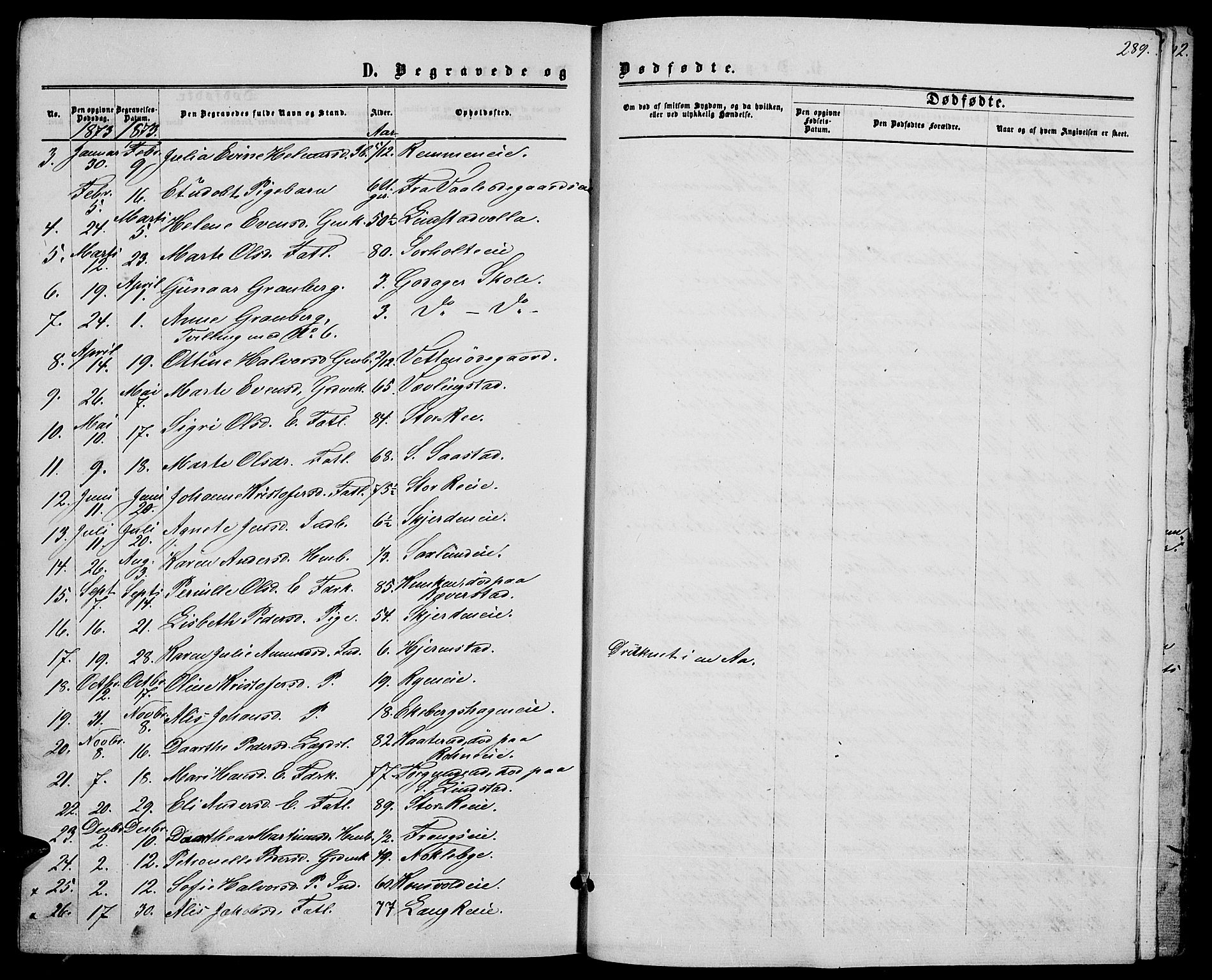 Stange prestekontor, AV/SAH-PREST-002/L/L0006: Parish register (copy) no. 6, 1864-1882, p. 289