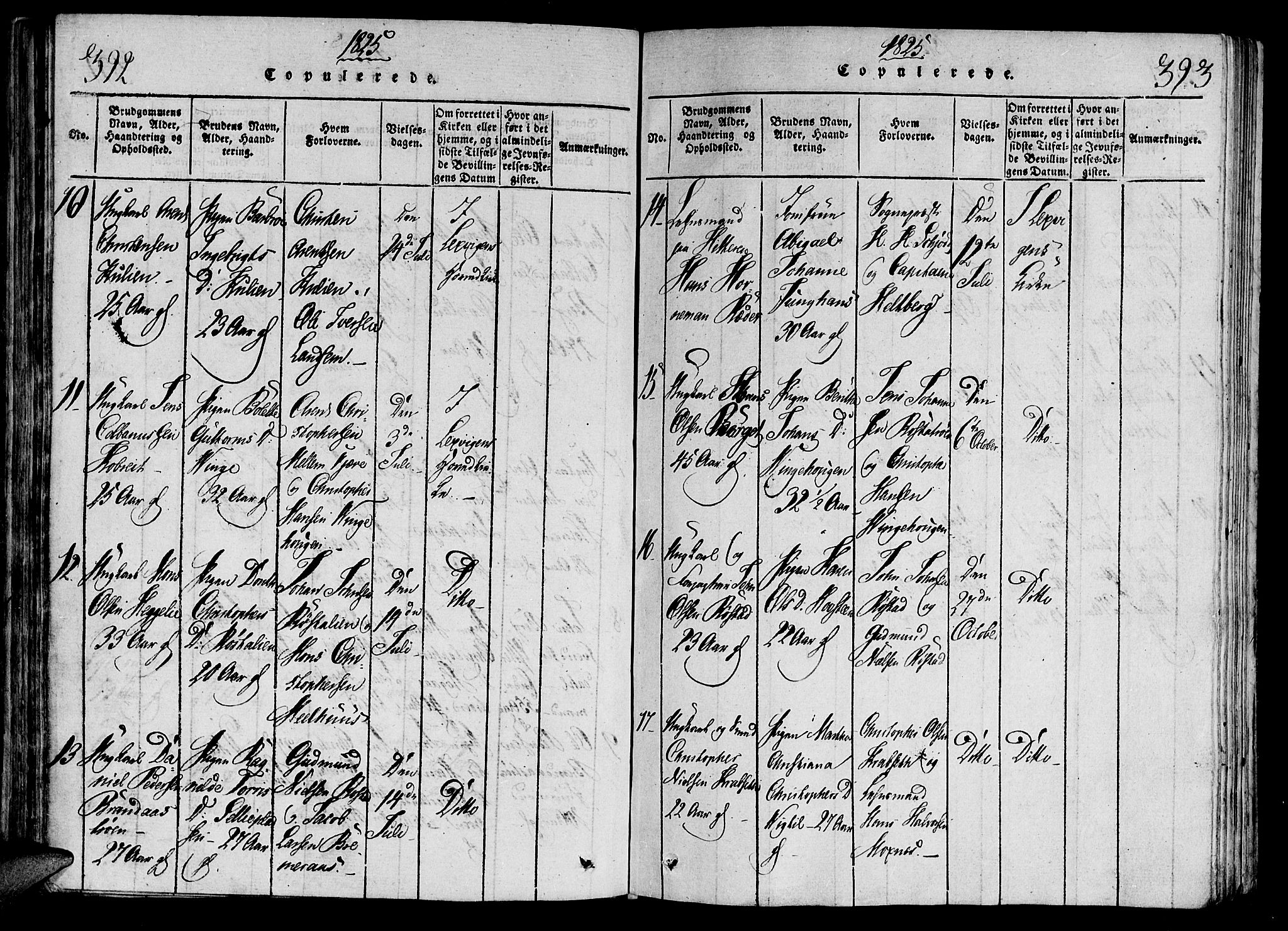 Ministerialprotokoller, klokkerbøker og fødselsregistre - Nord-Trøndelag, SAT/A-1458/701/L0005: Parish register (official) no. 701A05 /1, 1816-1825, p. 392-393
